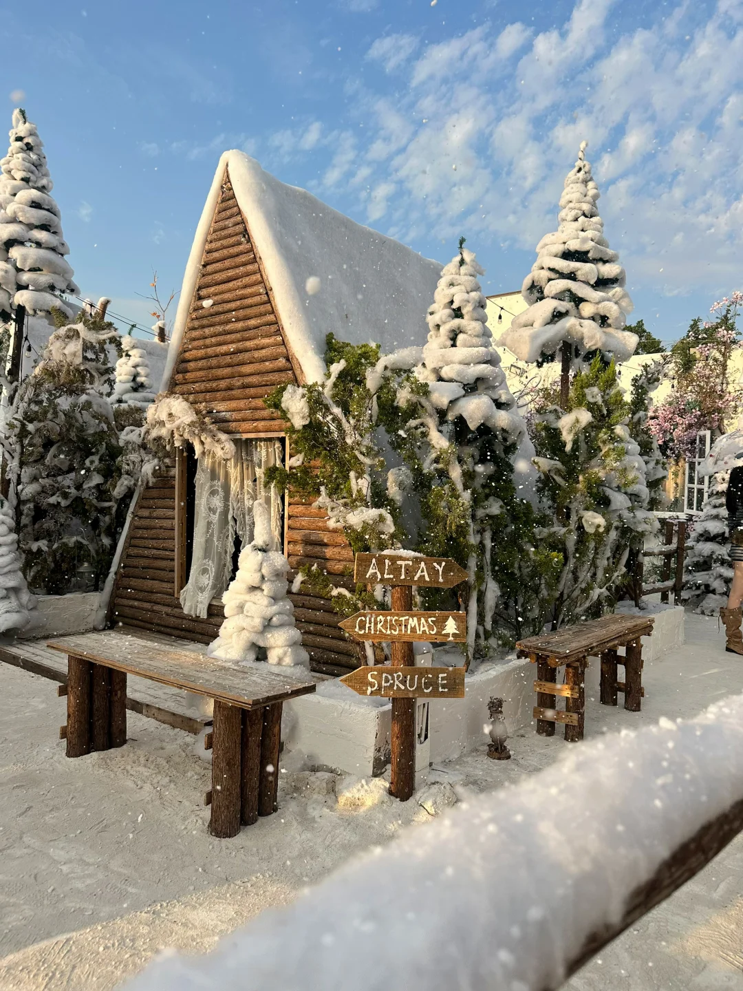 深圳新开的！真的不在阿勒泰！