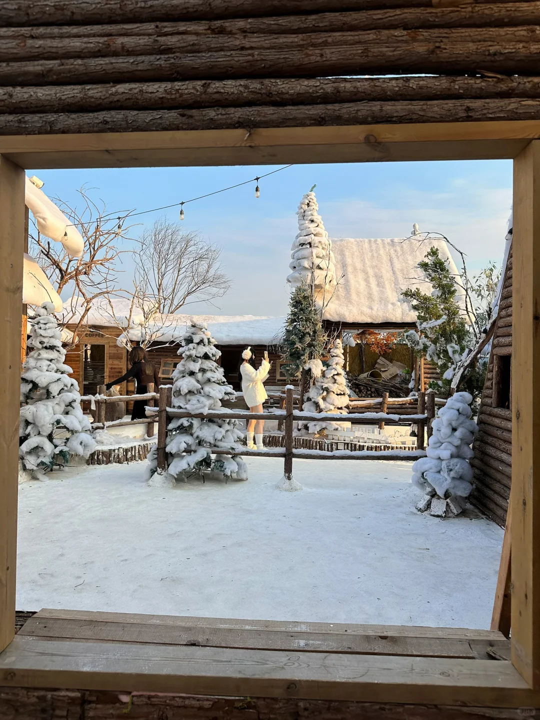 深圳新开的！真的不在阿勒泰！