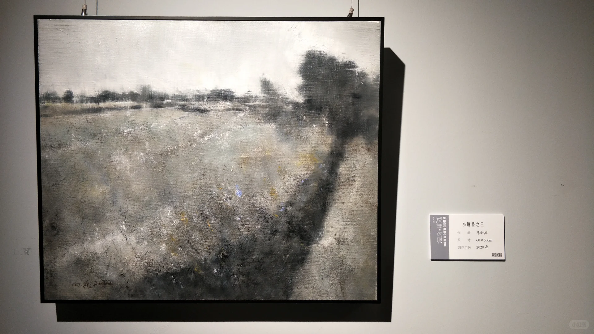 深圳观澜美术馆《发生·发现》