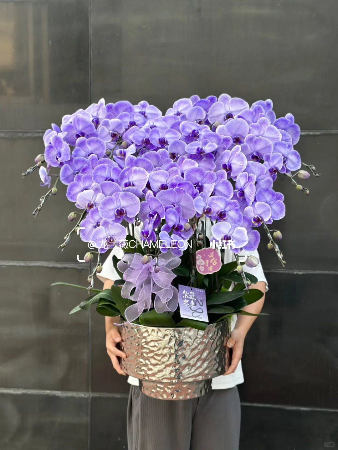 深圳·香港全城配送｜第140款 大盆紫色马卡龙