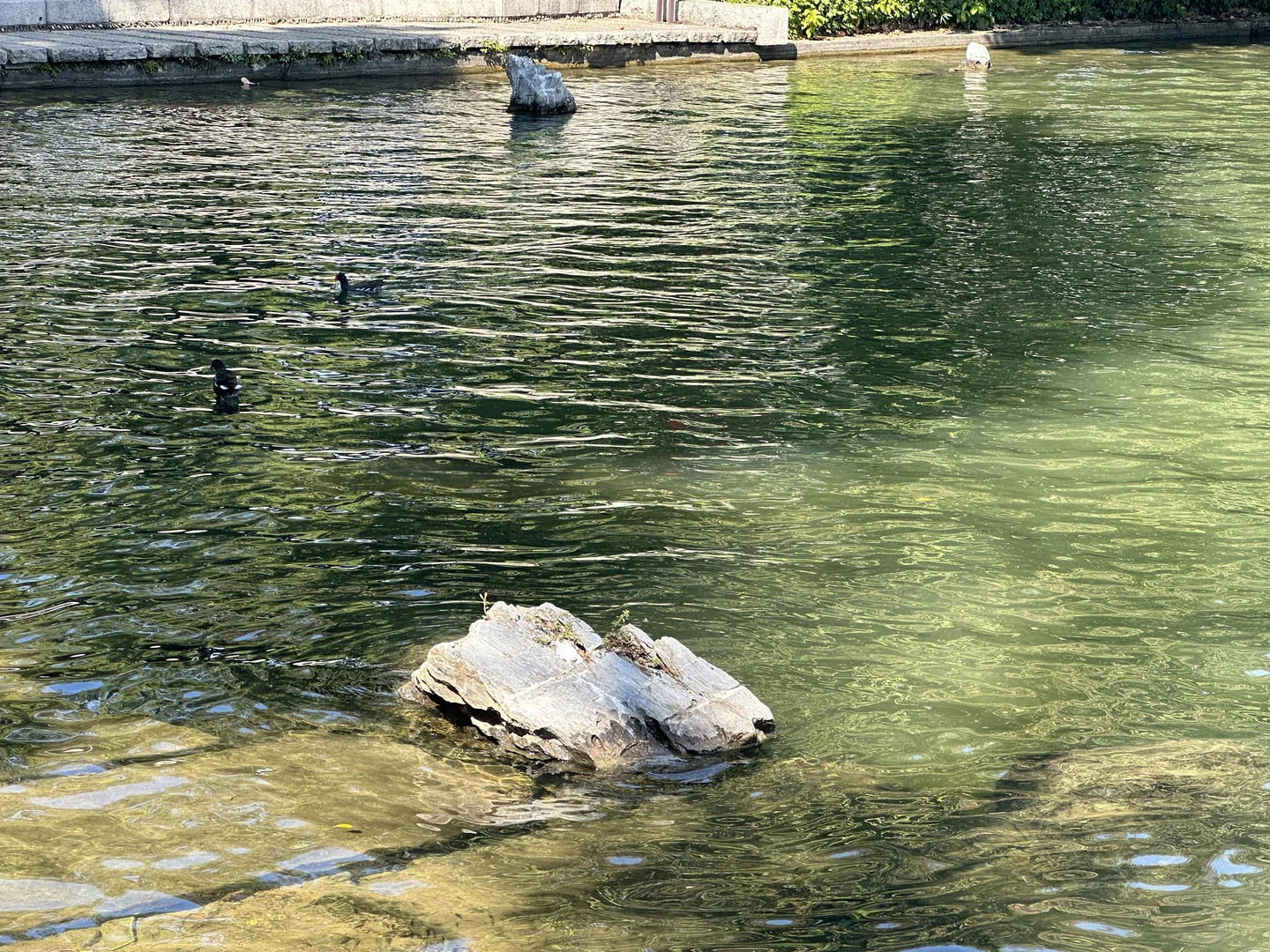 荔湾湖公园和永庆坊真的好好逛，好开心