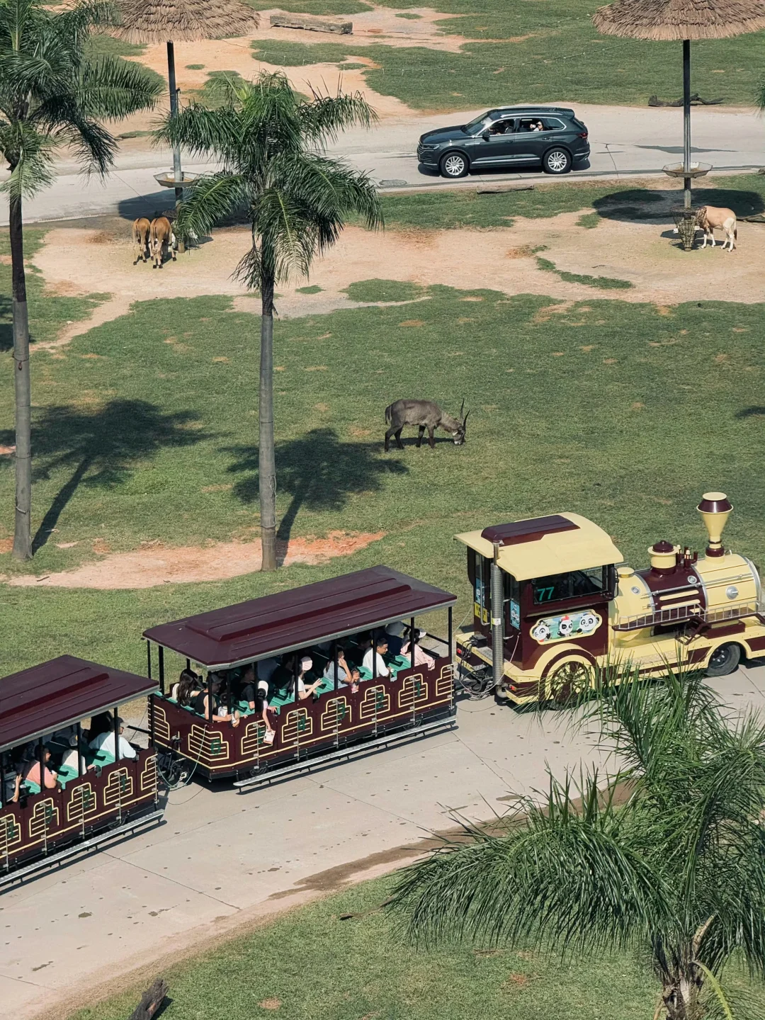 2025.12.16广州长隆已回,xhs上都是骗人的