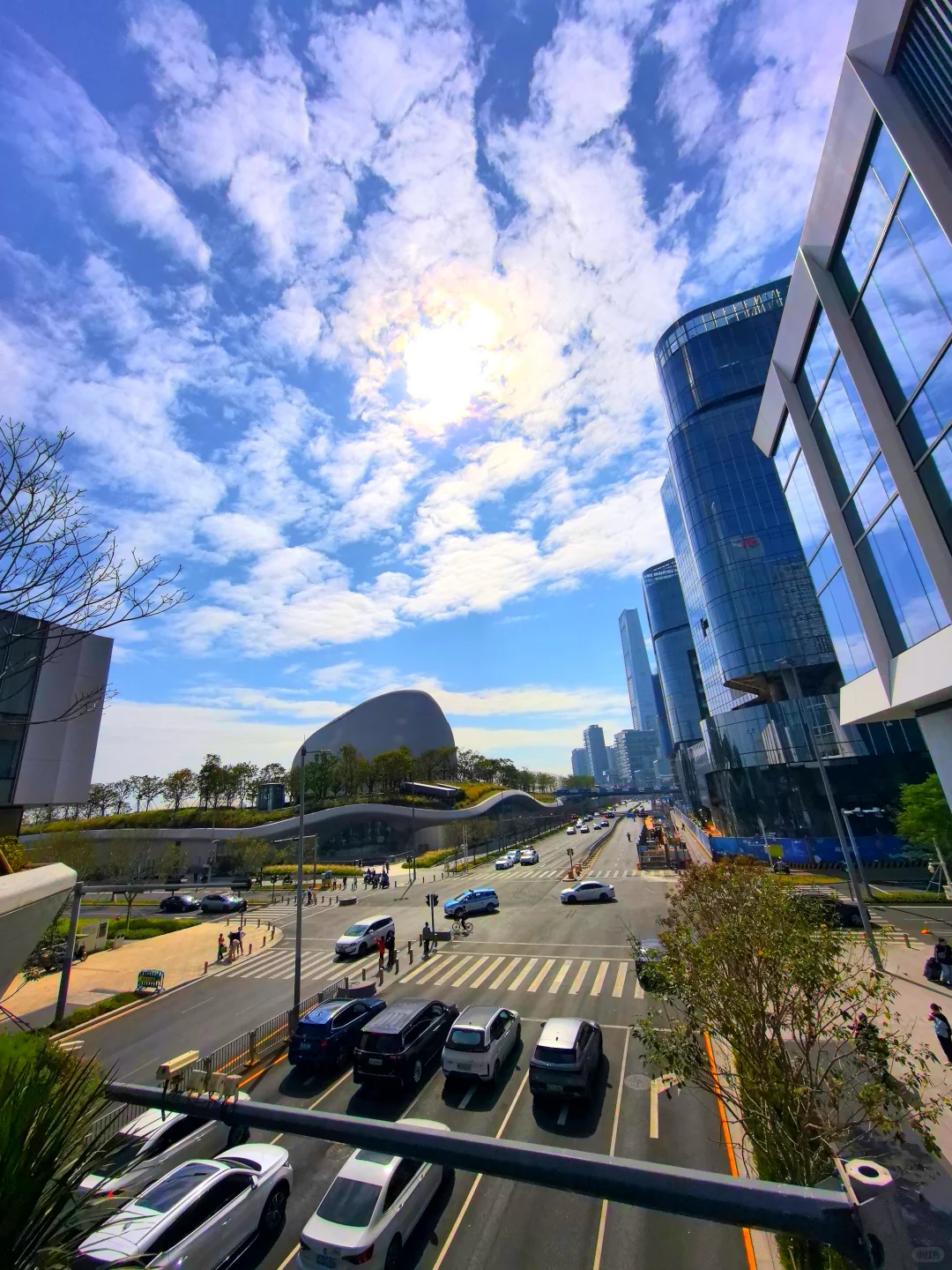 我的2025封神照片