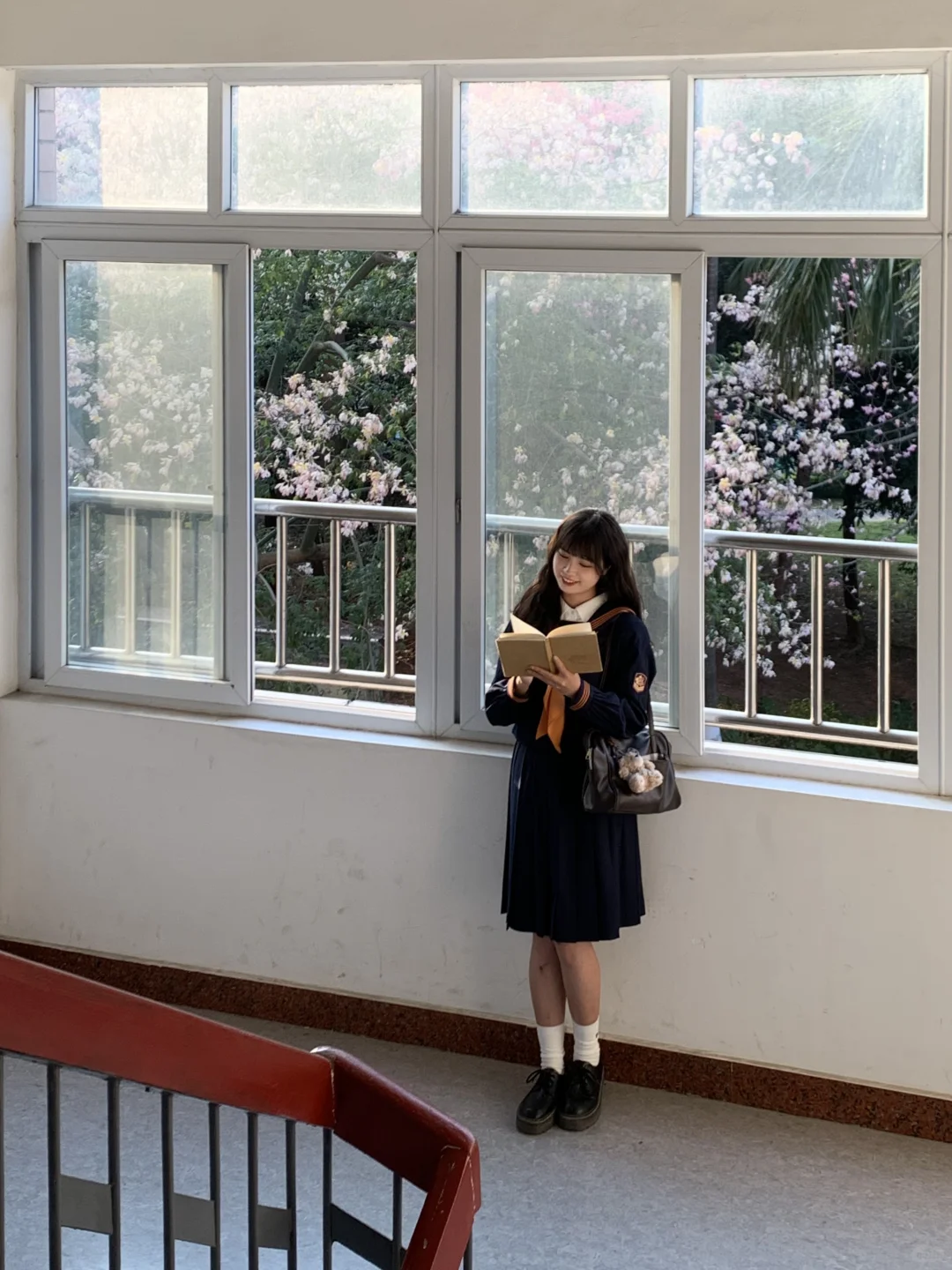 Live图❄️ 一棵树就是…广州一场盛大的冬天！！