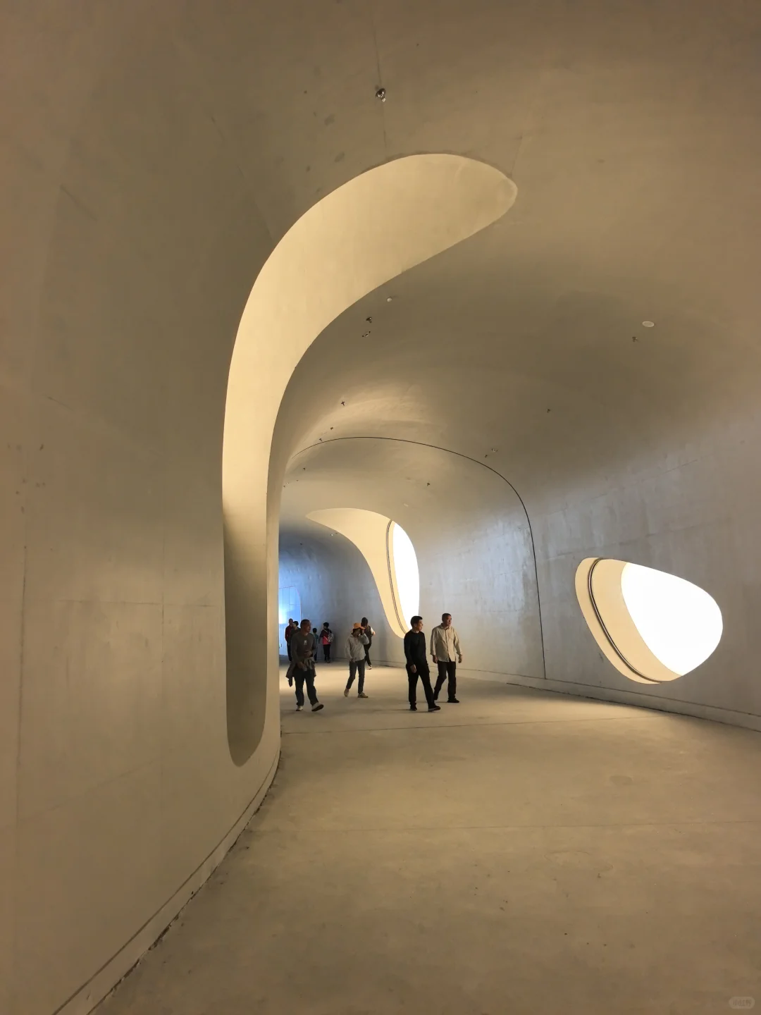 我的2025封神照片