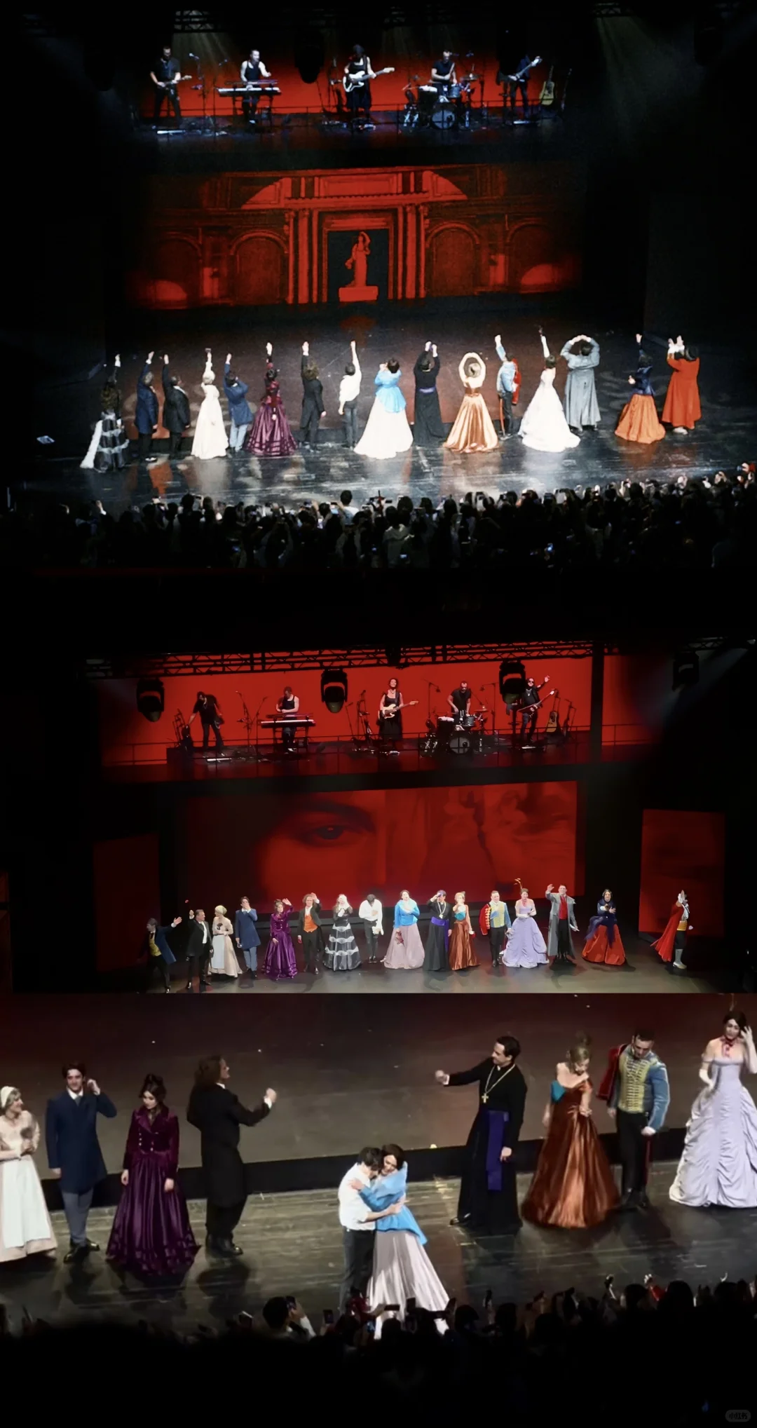 法红黑，终于等到你🎫