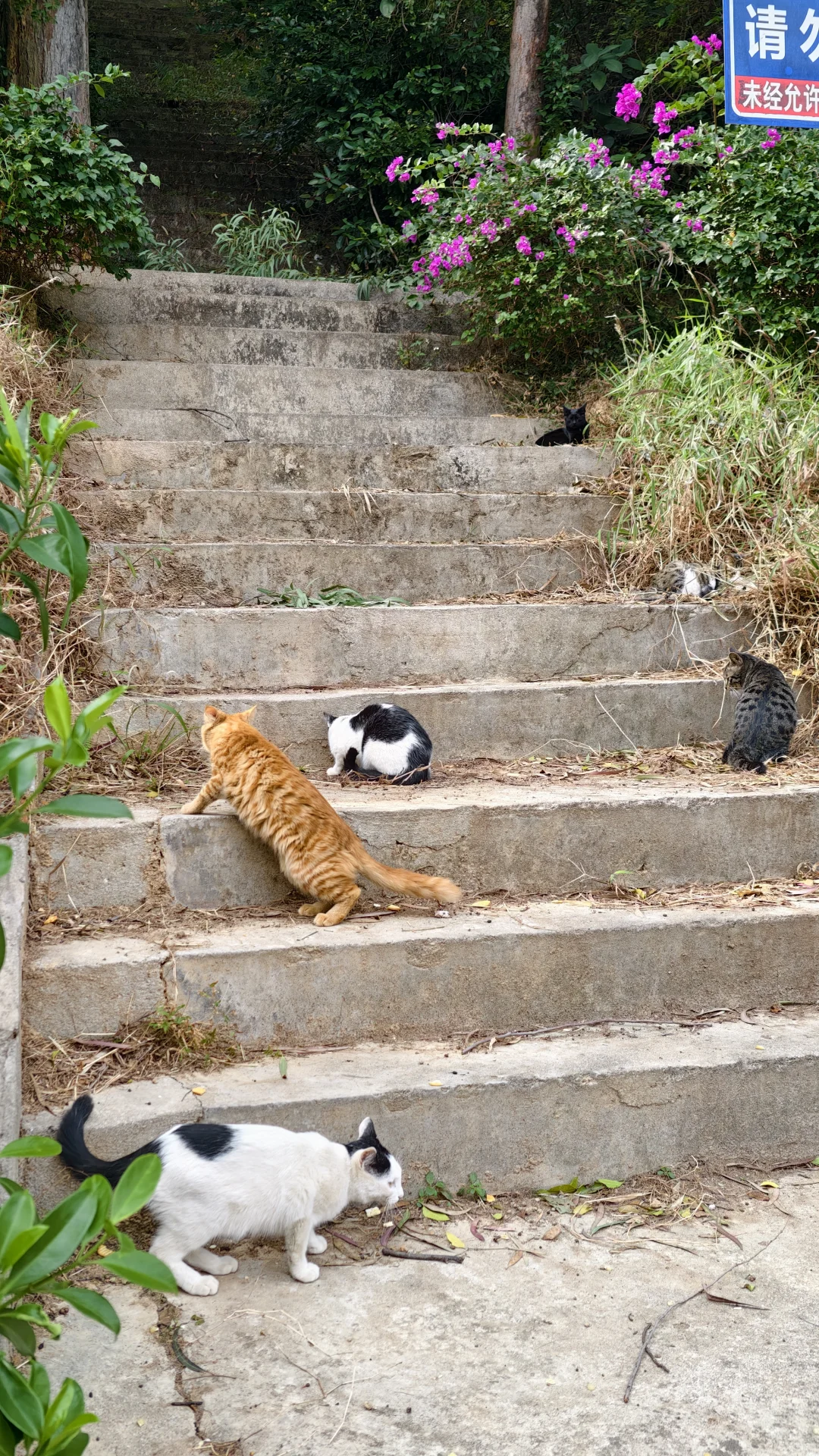 周末好去处‼️超酷云道穿越线8km连玩👏