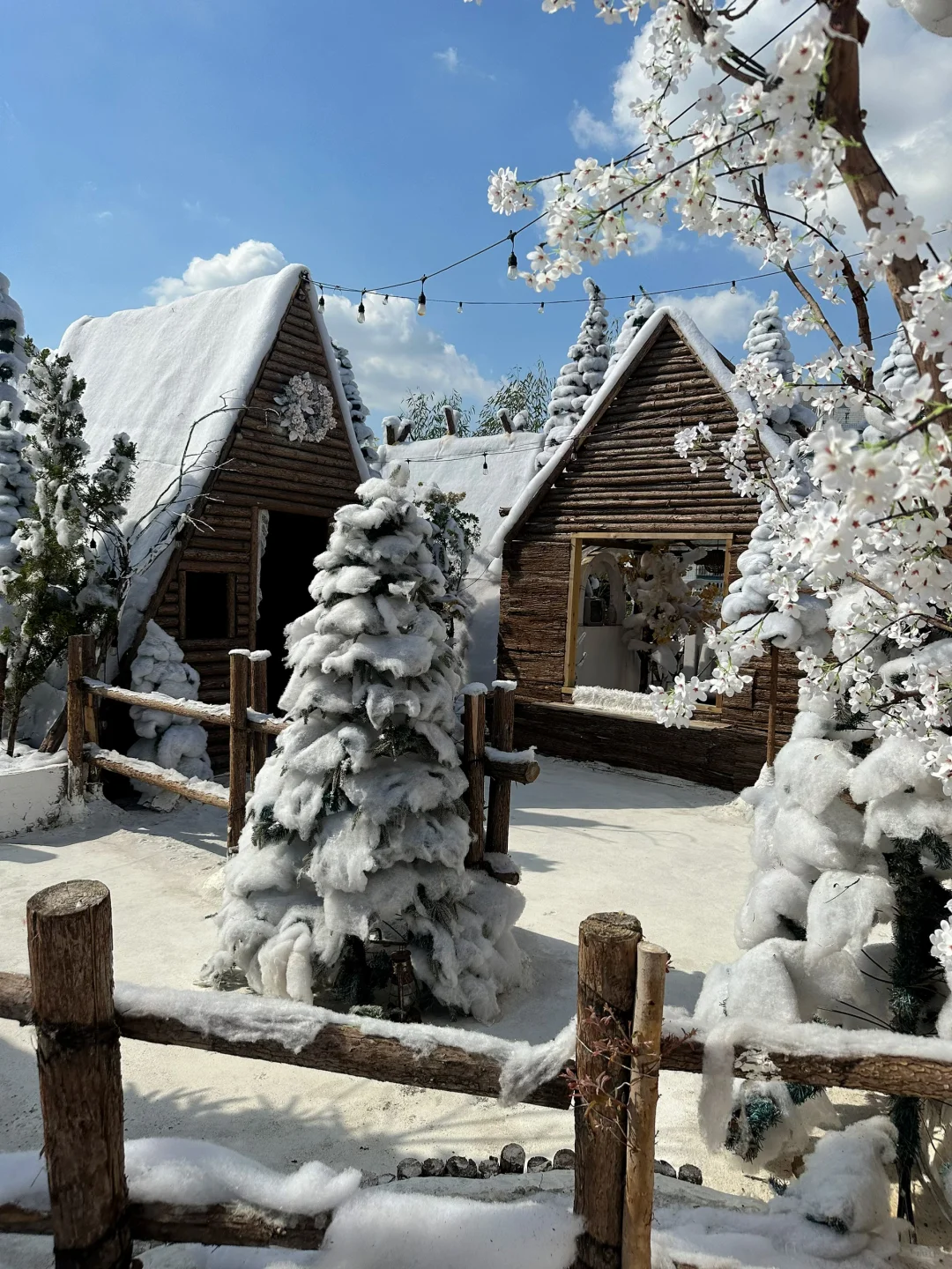 深圳新开的！真的不在阿勒泰！