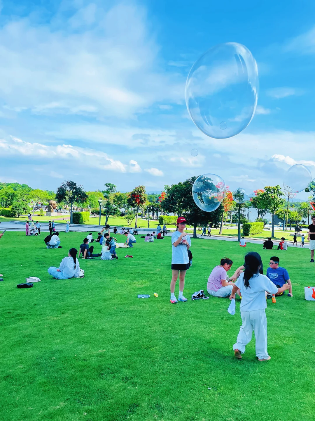 来深圳，不来这里准后悔❗️深圳湾游玩建议