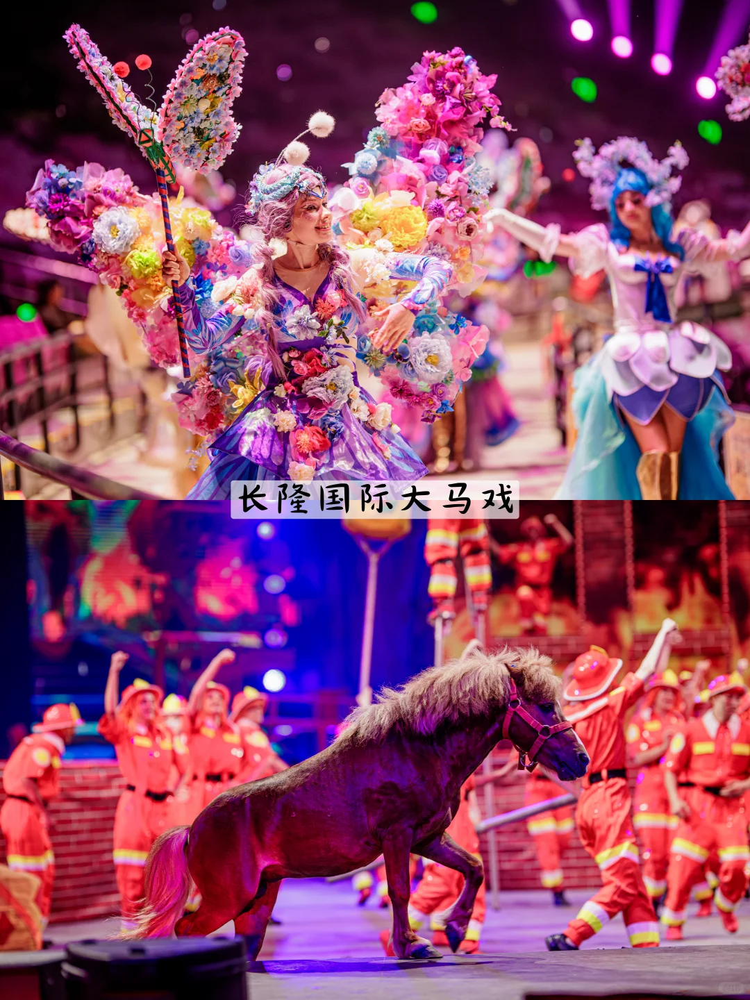 去了广州长隆7次，这个省💰套餐一定要囤！！！