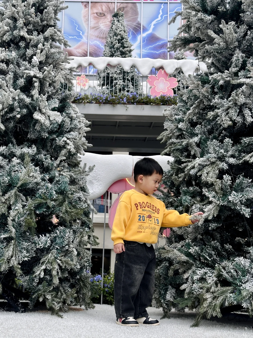 收藏！🎄广州小众圣诞打卡地❄️