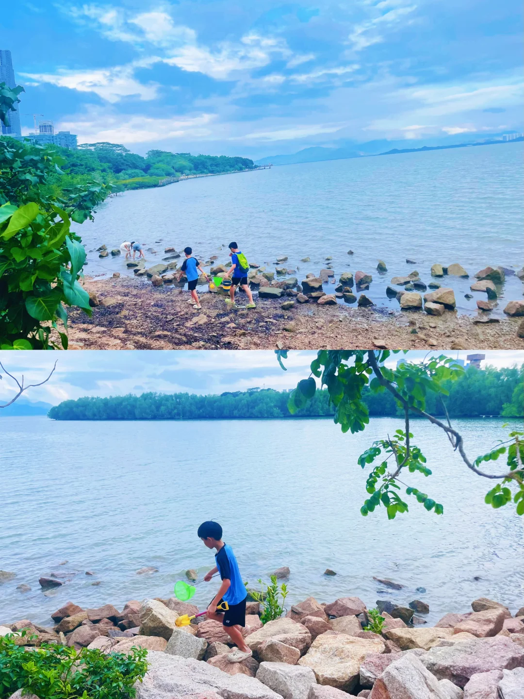 来深圳，不来这里准后悔❗️深圳湾游玩建议