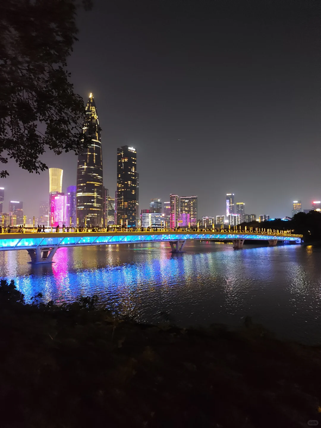 人才公园|深圳最好的地方都是免费的