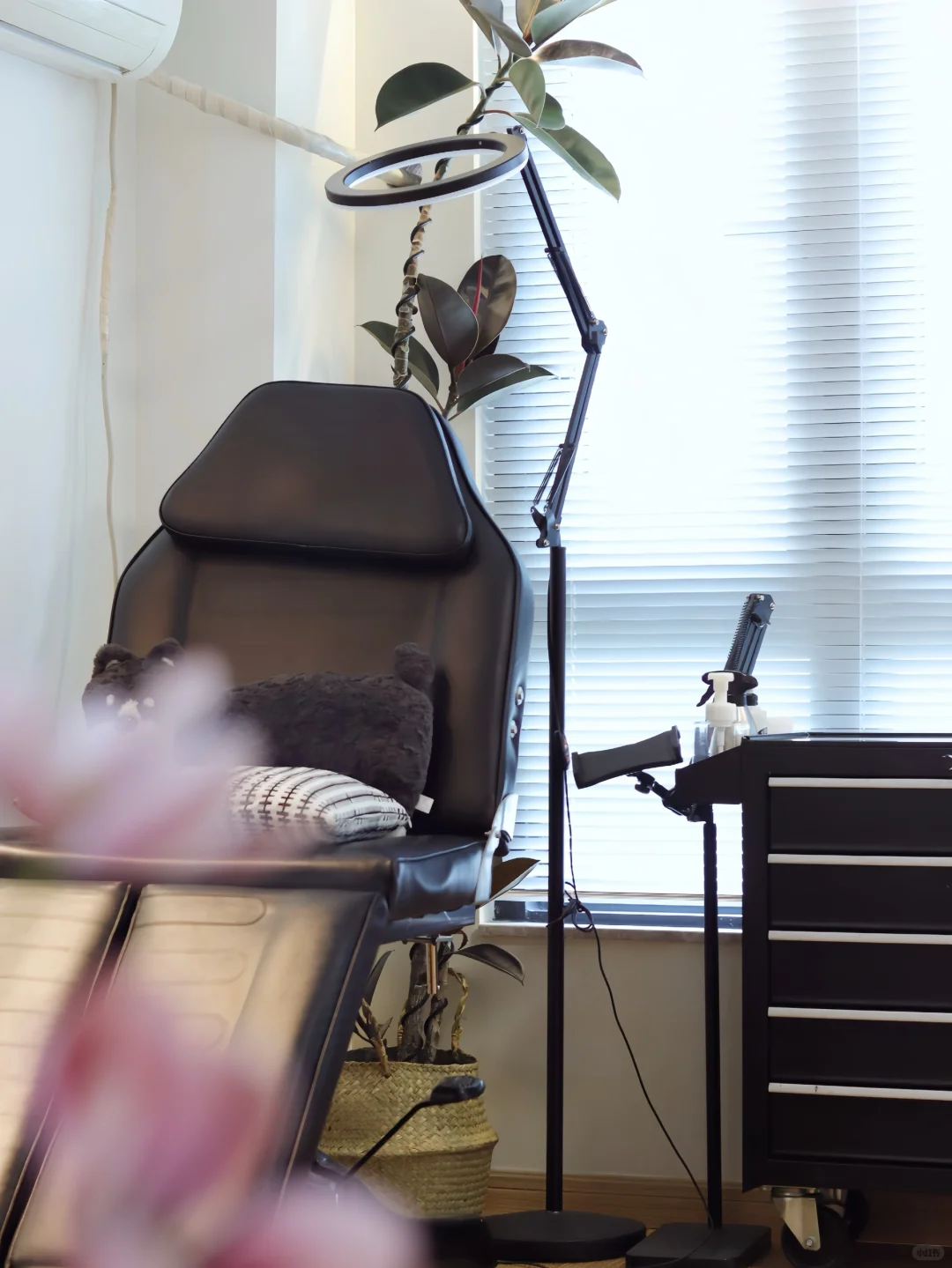 📍深圳纹身｜欢迎认识我的纹身师们✨