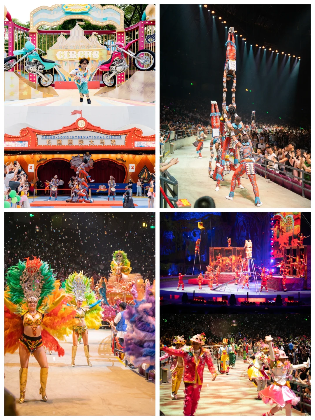 广州长隆🦒三天两晚玩转三大园区保姆级攻略