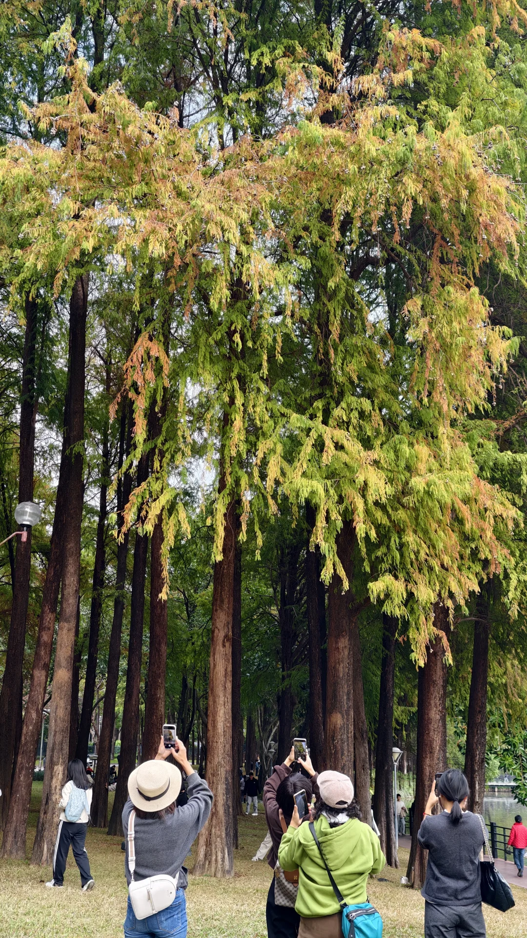 周末好去处‼️超酷云道穿越线8km连玩👏