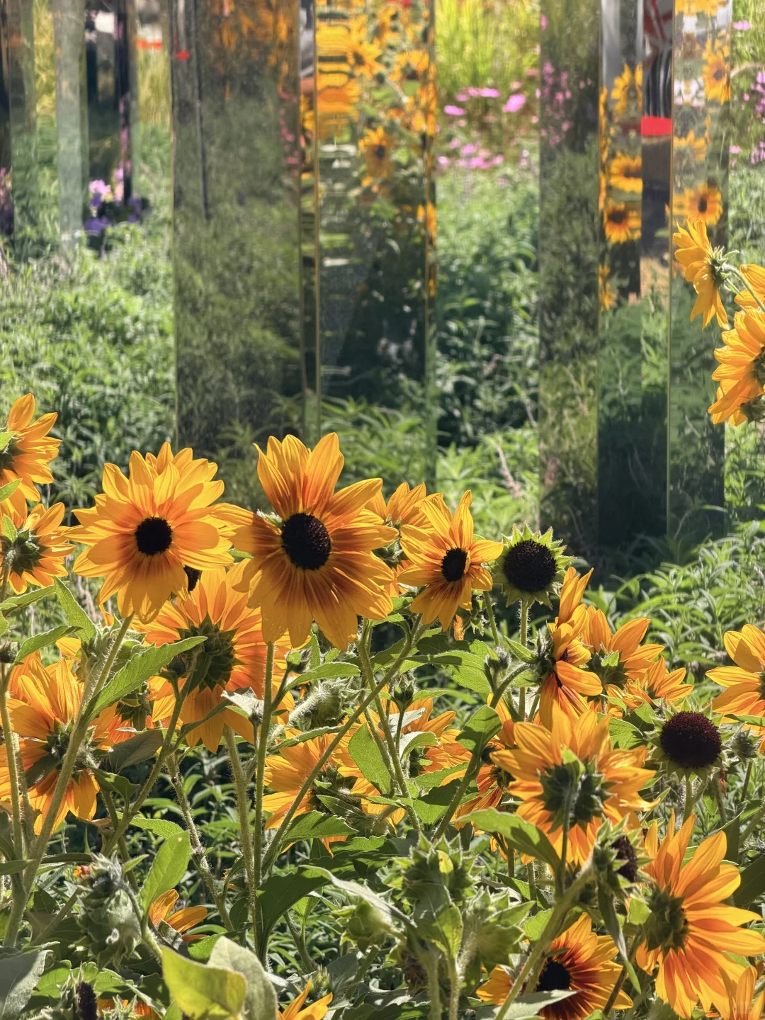 冬天的广州长这样