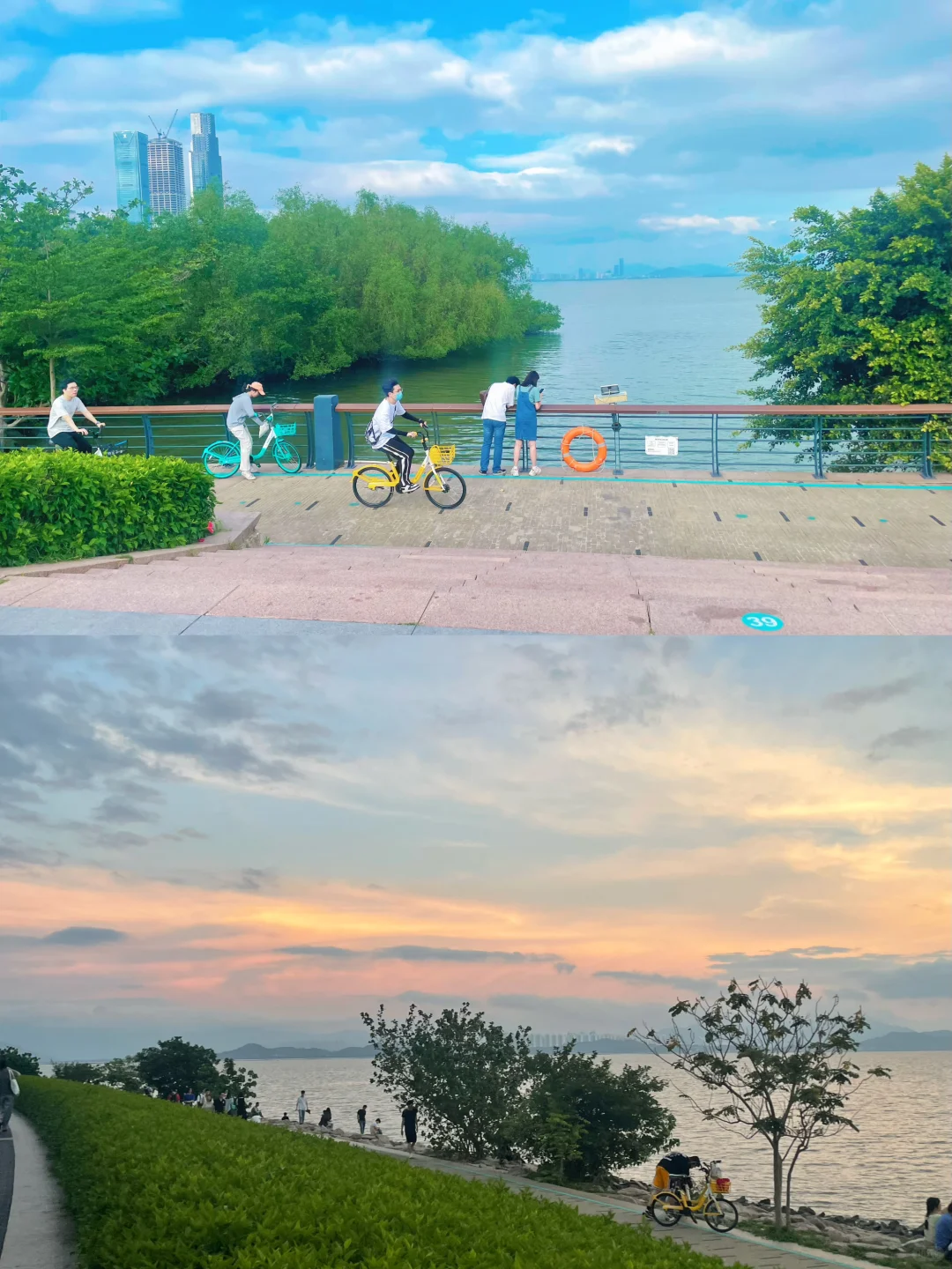 来深圳，不来这里准后悔❗️深圳湾游玩建议