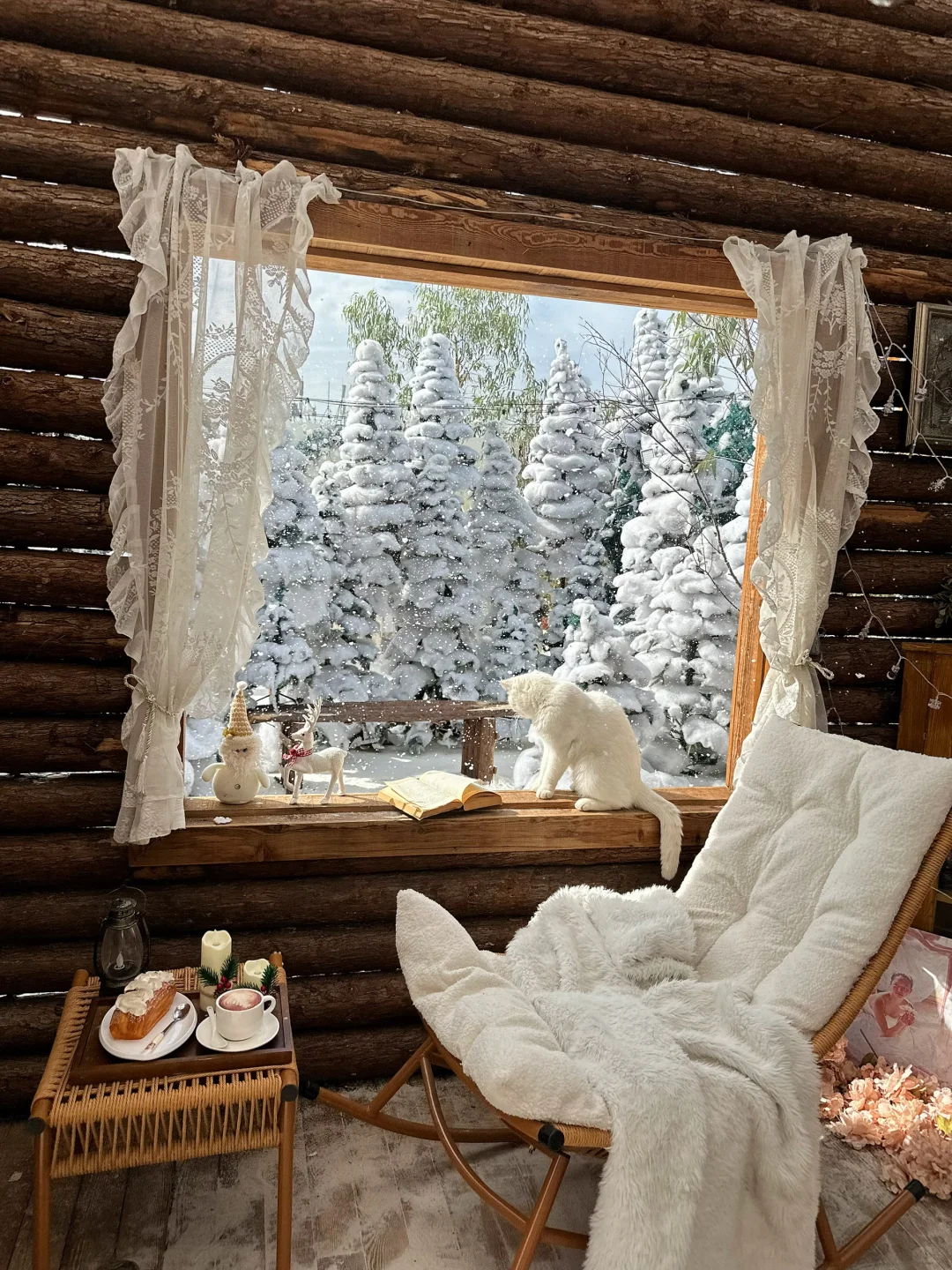 深圳新开的！真的不在阿勒泰！