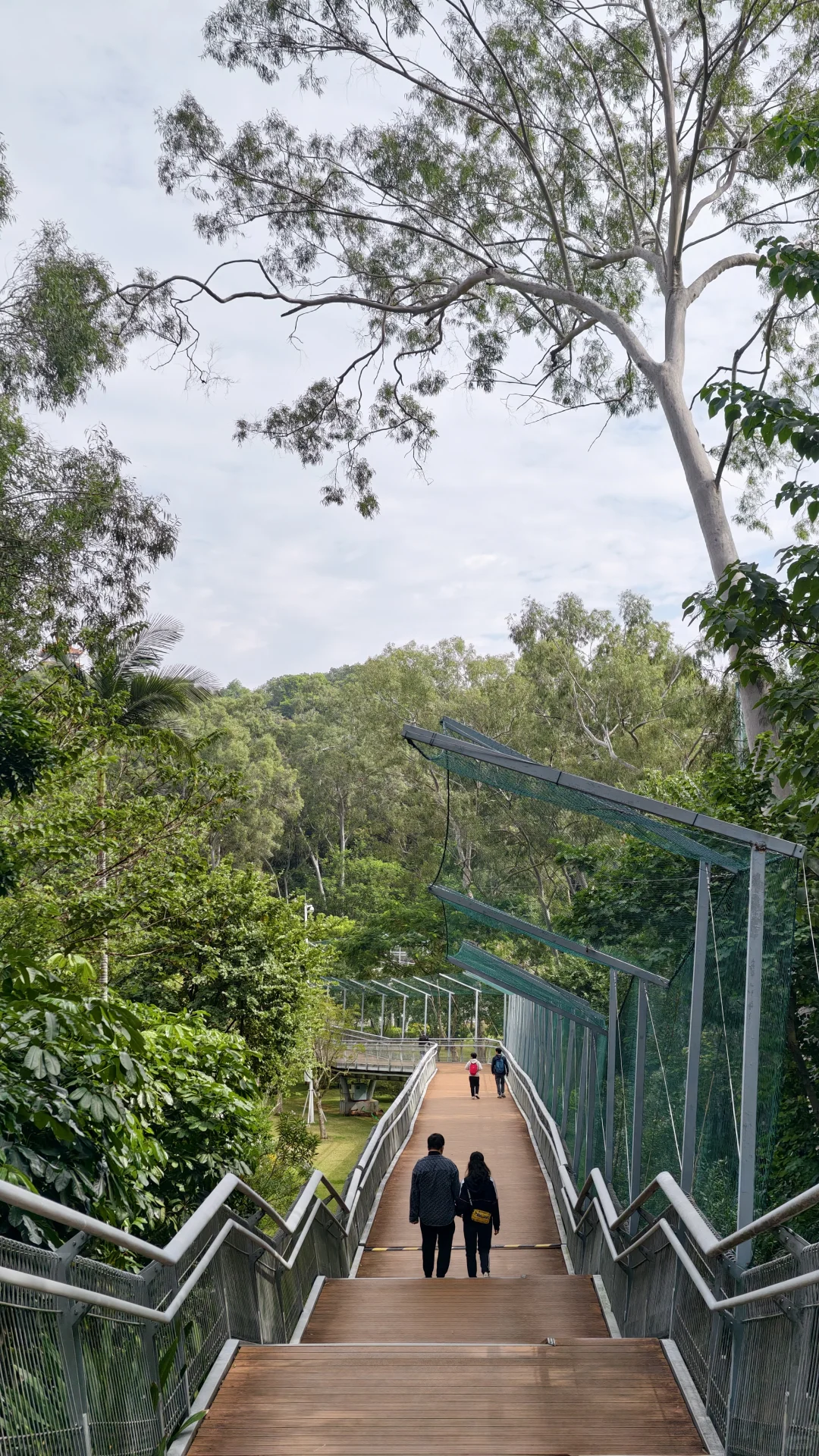 周末好去处‼️超酷云道穿越线8km连玩👏
