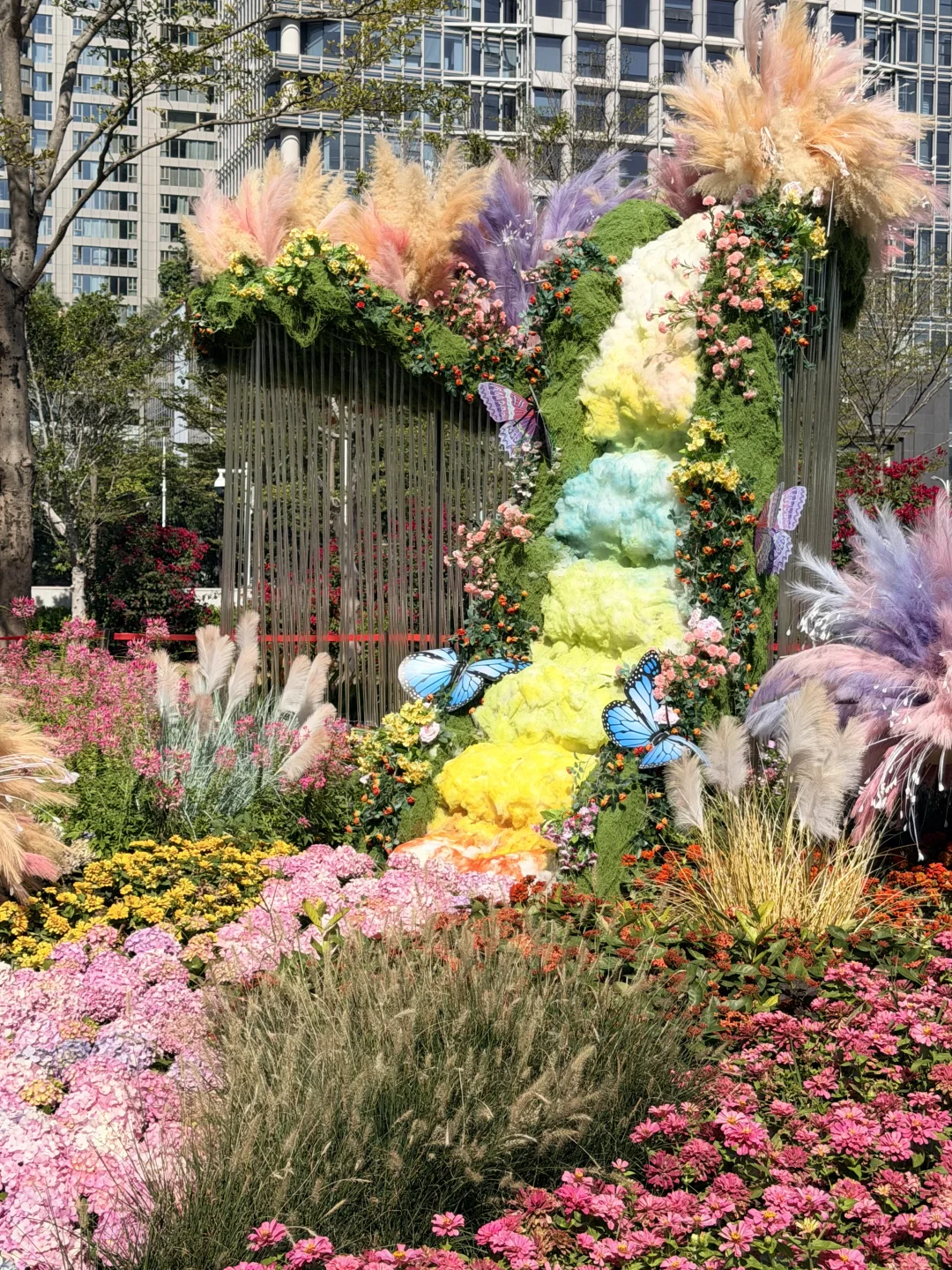 冬天的广州长这样