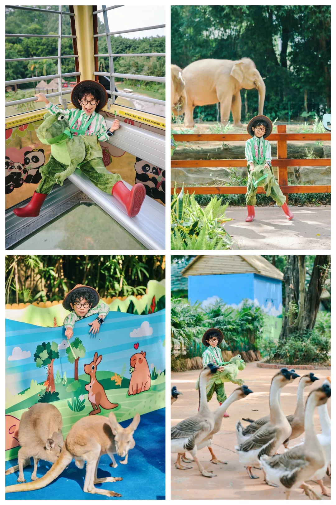 广州长隆🦒三天两晚玩转三大园区保姆级攻略