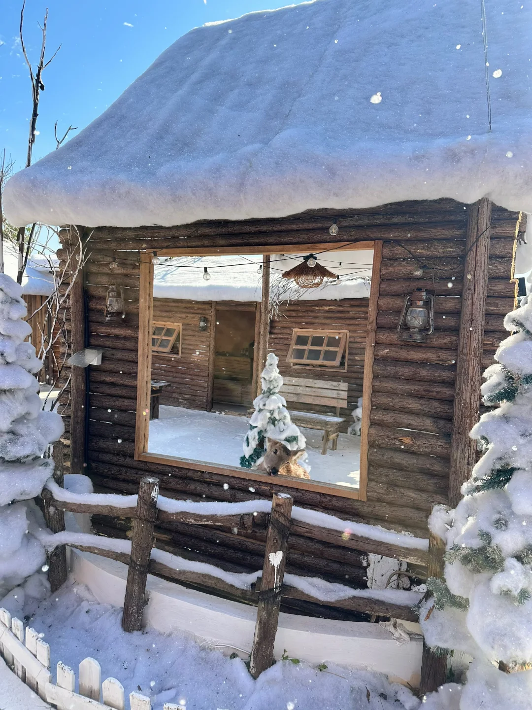 深圳新开的！真的不在阿勒泰！