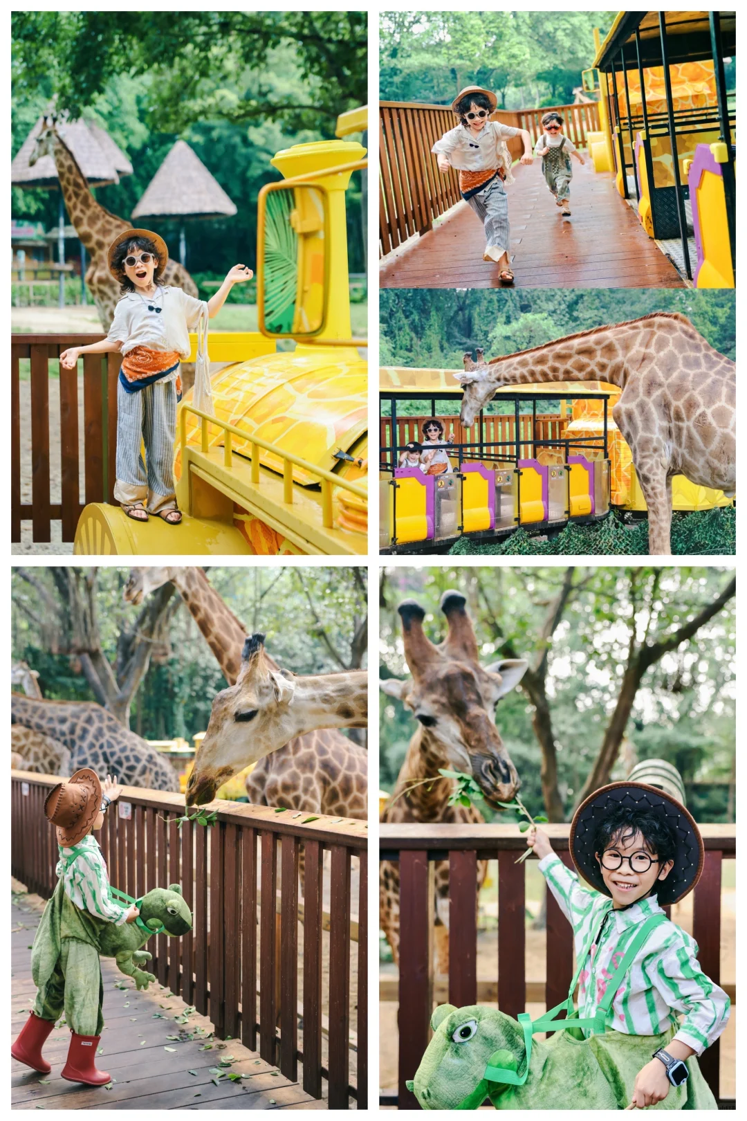 广州长隆🦒三天两晚玩转三大园区保姆级攻略