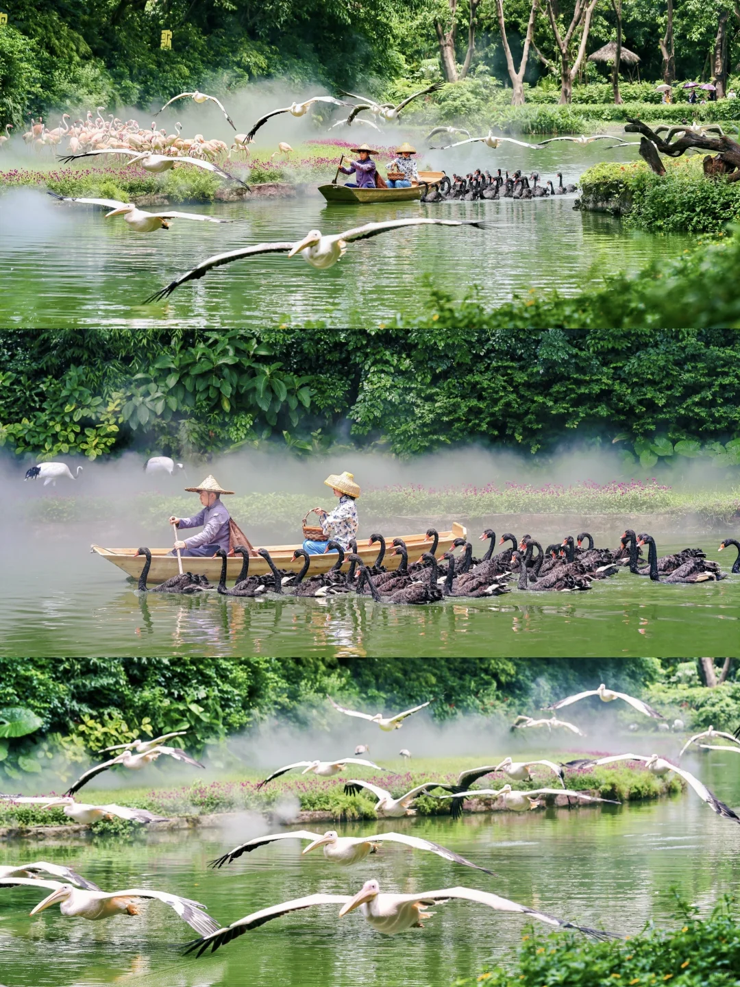 广州长隆🦒三天两晚玩转三大园区保姆级攻略