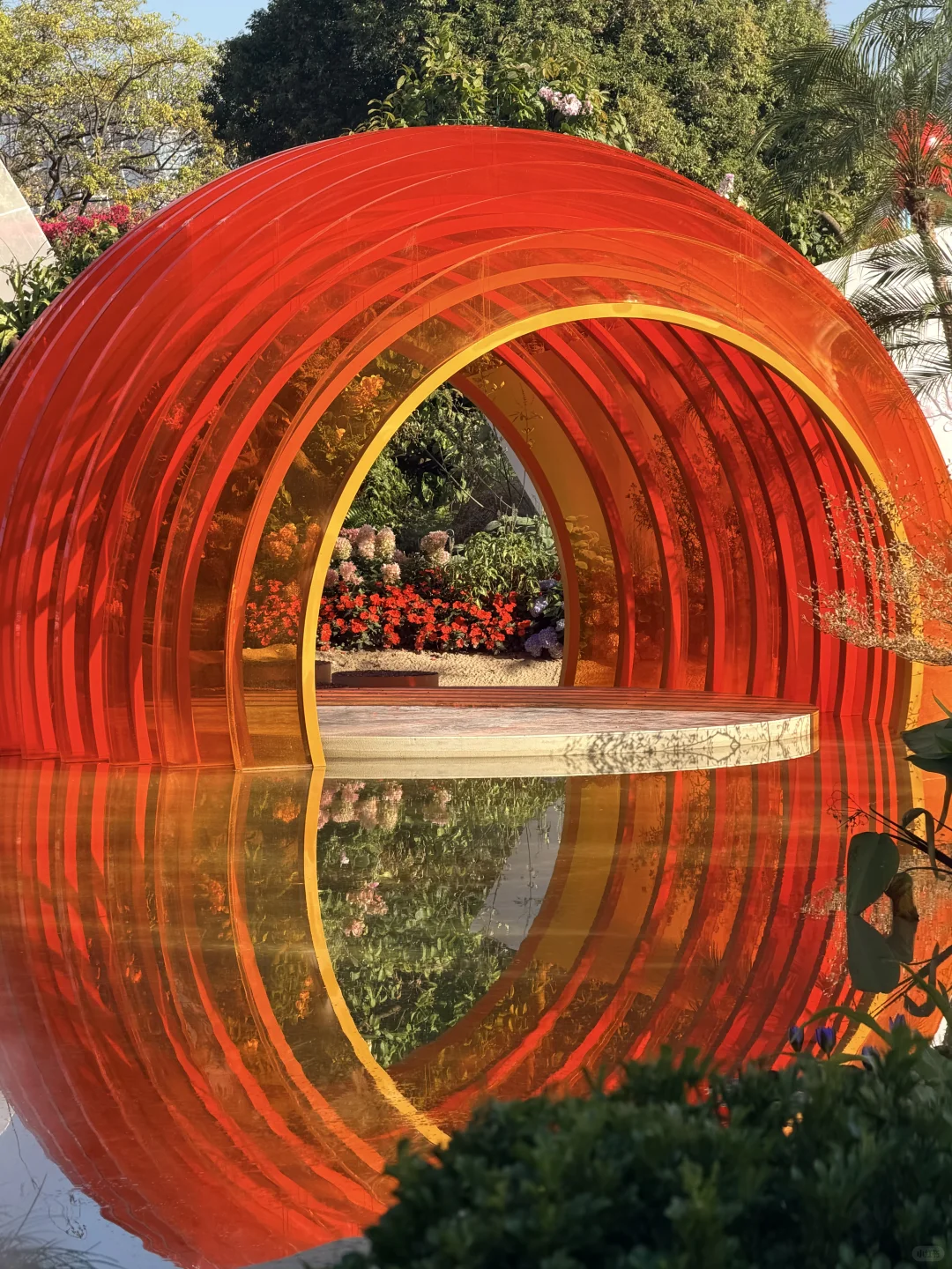 冬天的广州长这样