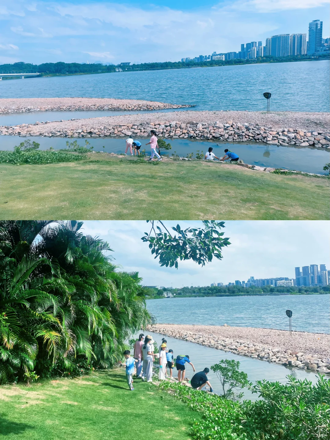 来深圳，不来这里准后悔❗️深圳湾游玩建议