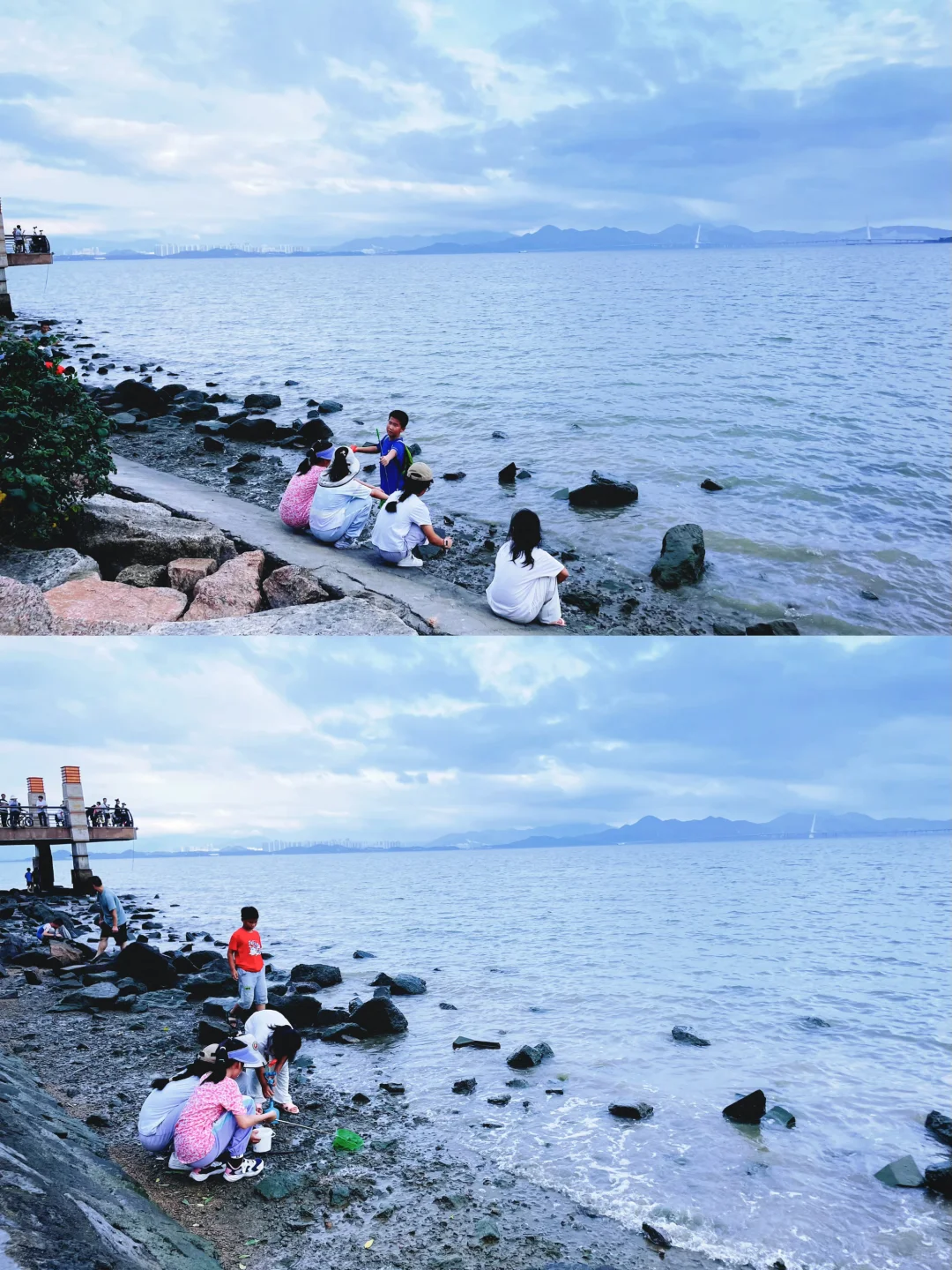 来深圳，不来这里准后悔❗️深圳湾游玩建议