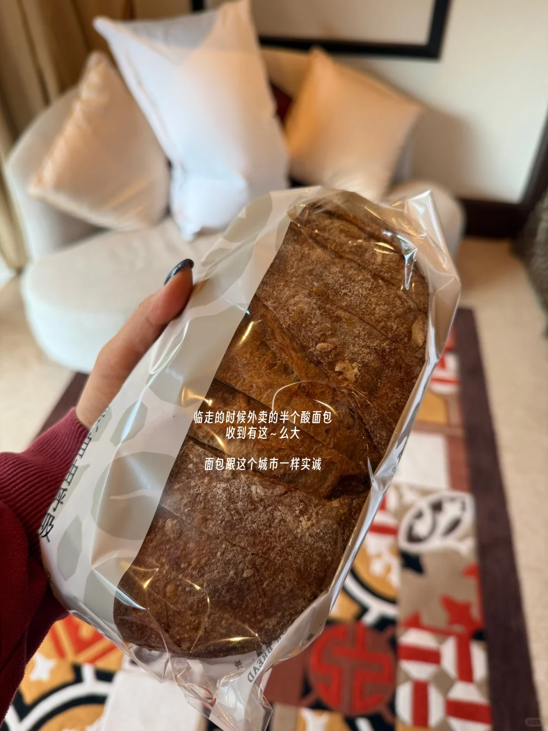 本周运动+阅读汇报 | 深圳48h，粗犷包容轻盈