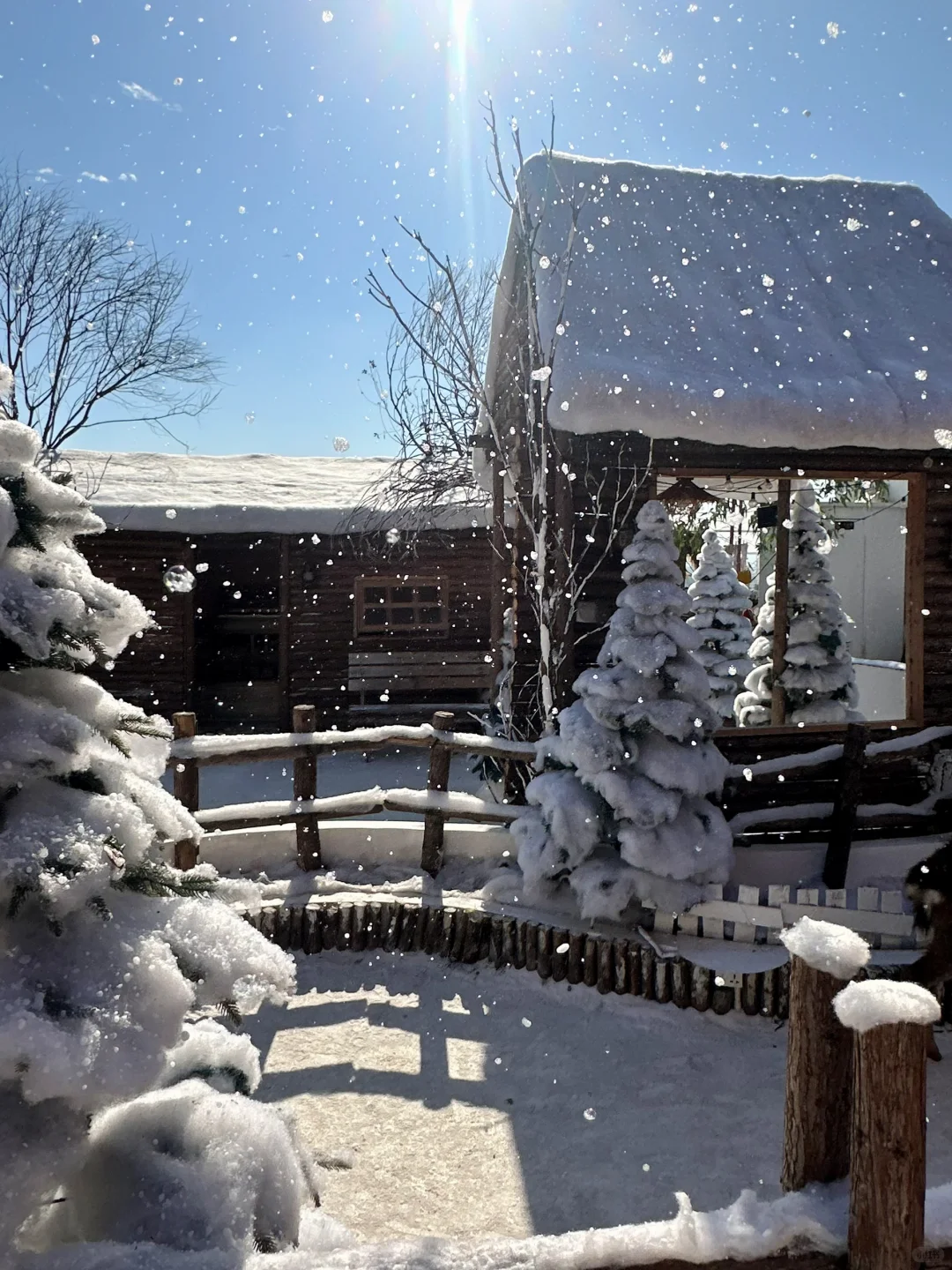 深圳新开的！真的不在阿勒泰！