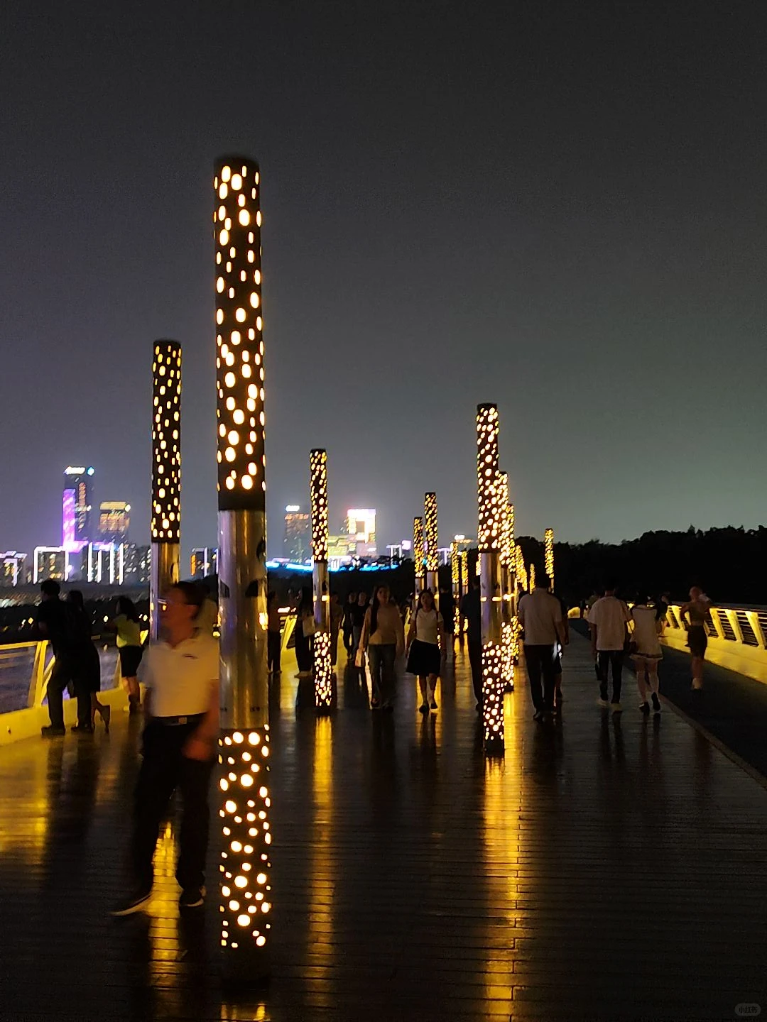 人才公园|深圳最好的地方都是免费的