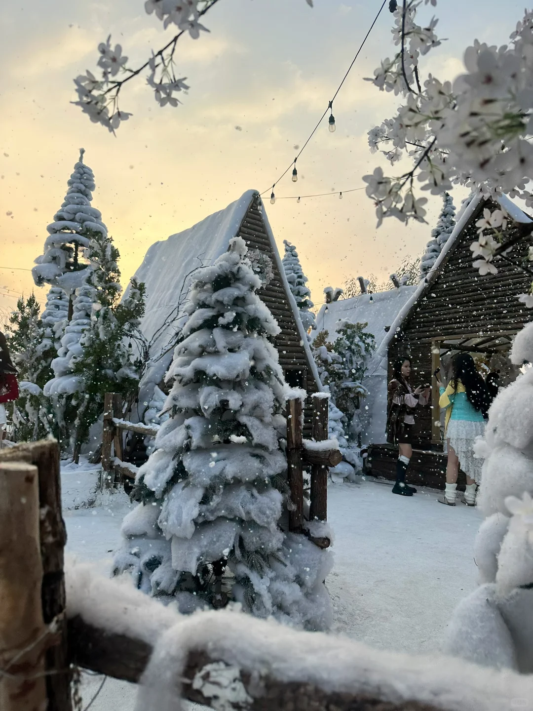 深圳新开的！真的不在阿勒泰！