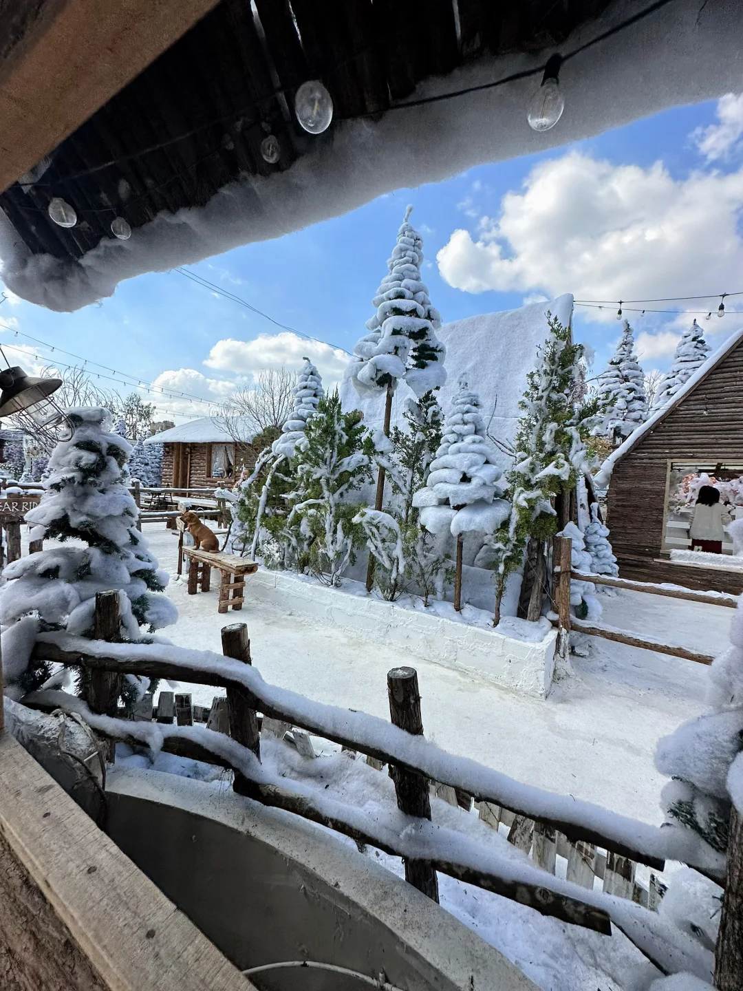 深圳新开的！真的不在阿勒泰！