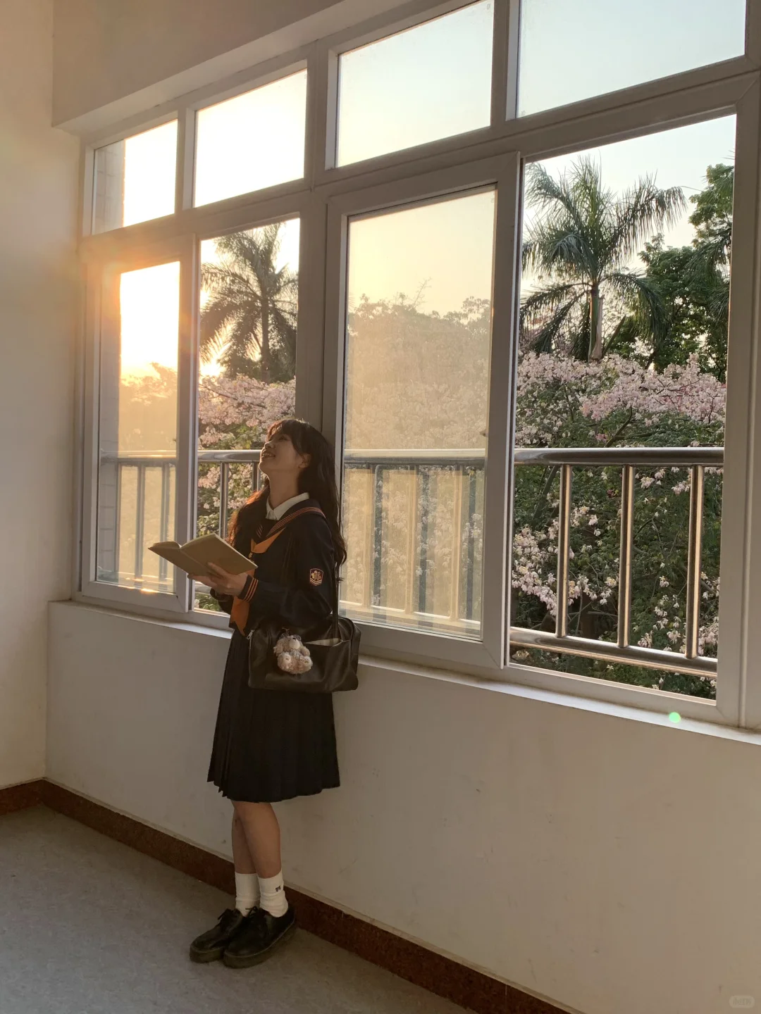 Live图❄️ 一棵树就是…广州一场盛大的冬天！！