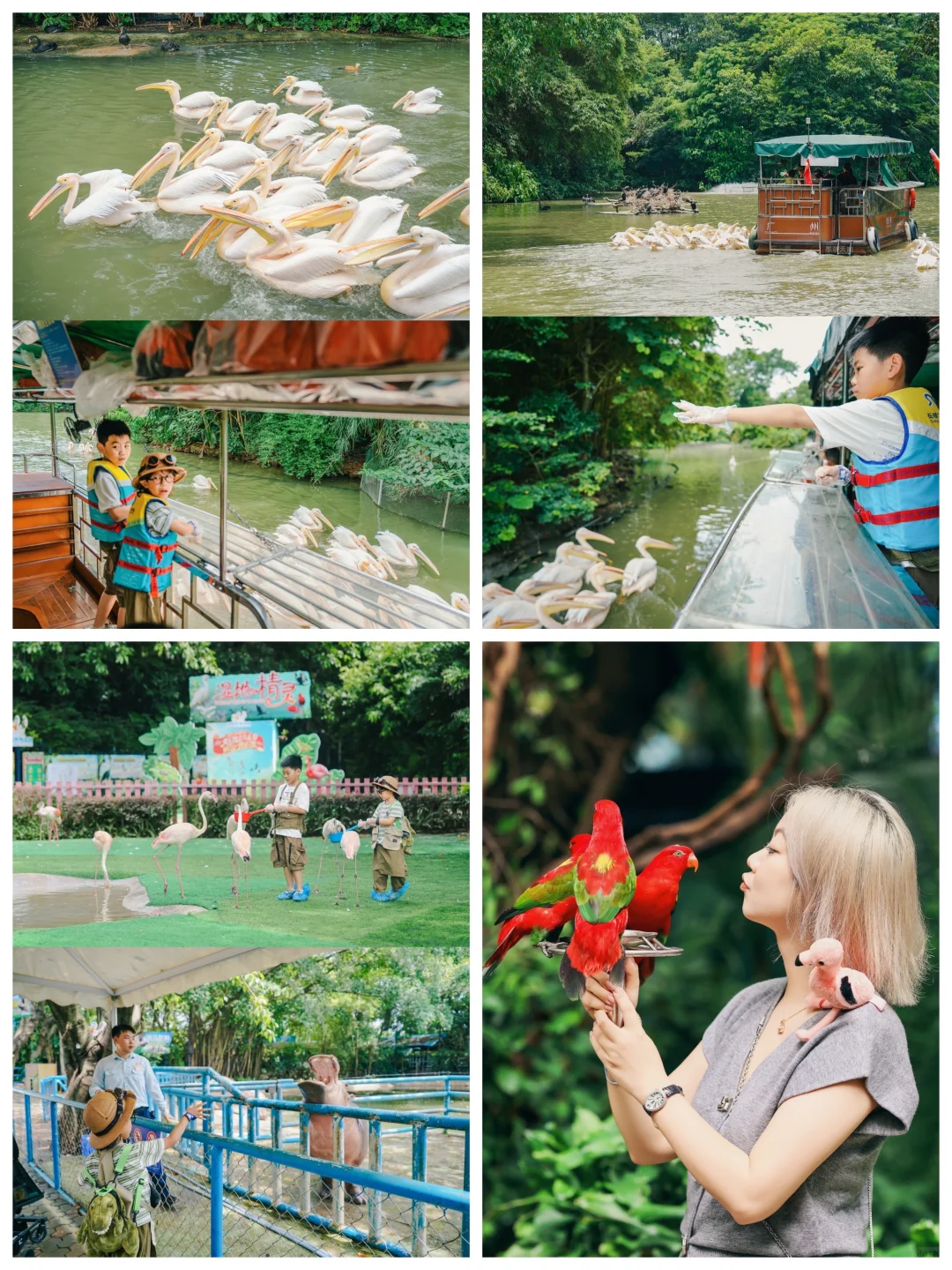 广州长隆🦒三天两晚玩转三大园区保姆级攻略