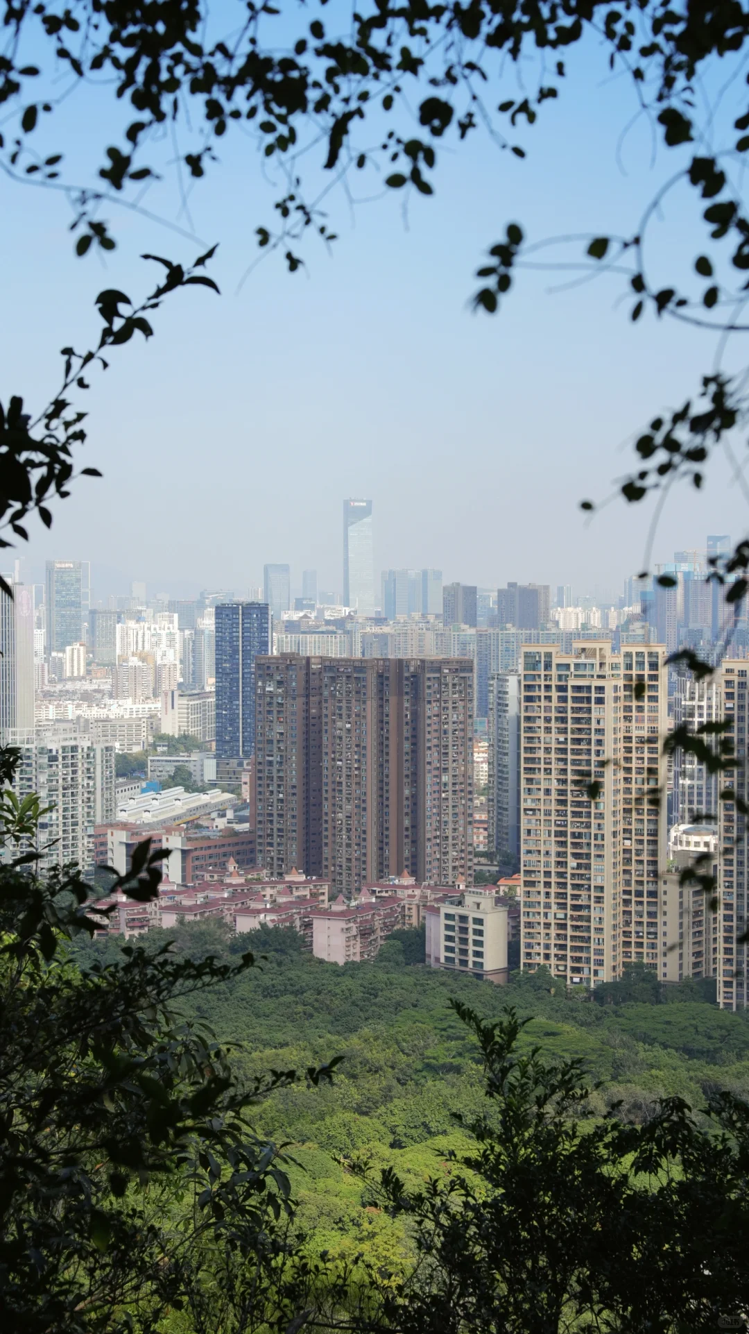 深圳大南山真的很低调