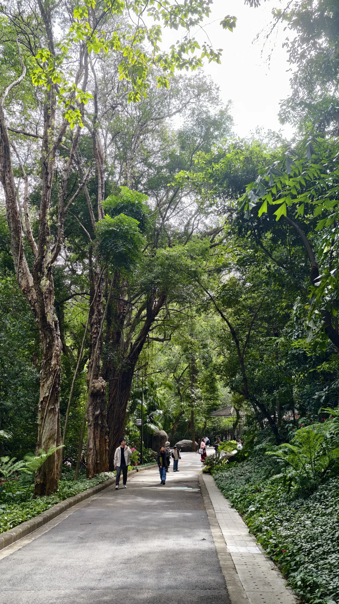周末好去处‼️超酷云道穿越线8km连玩👏