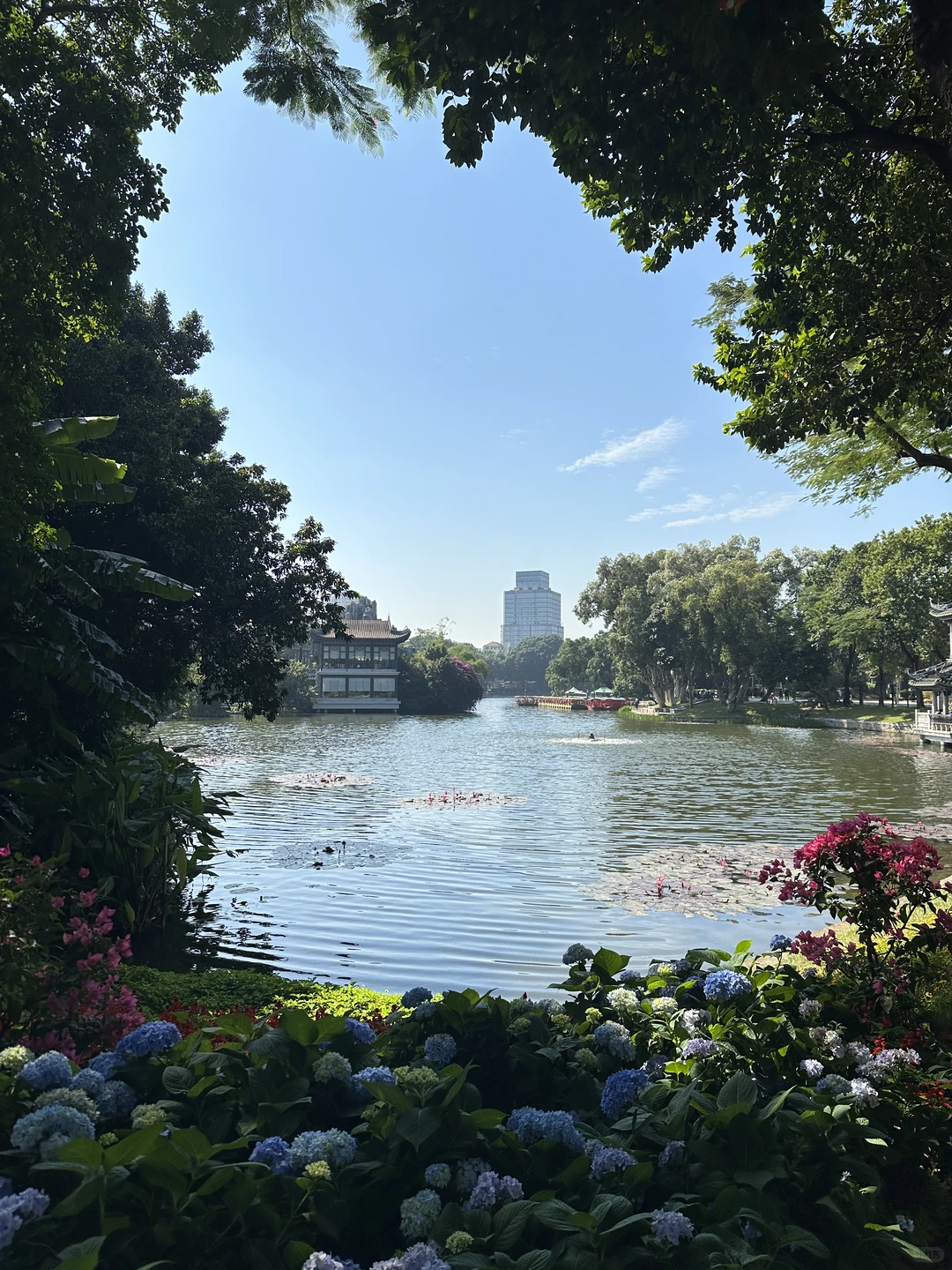 荔湾湖公园和永庆坊真的好好逛，好开心