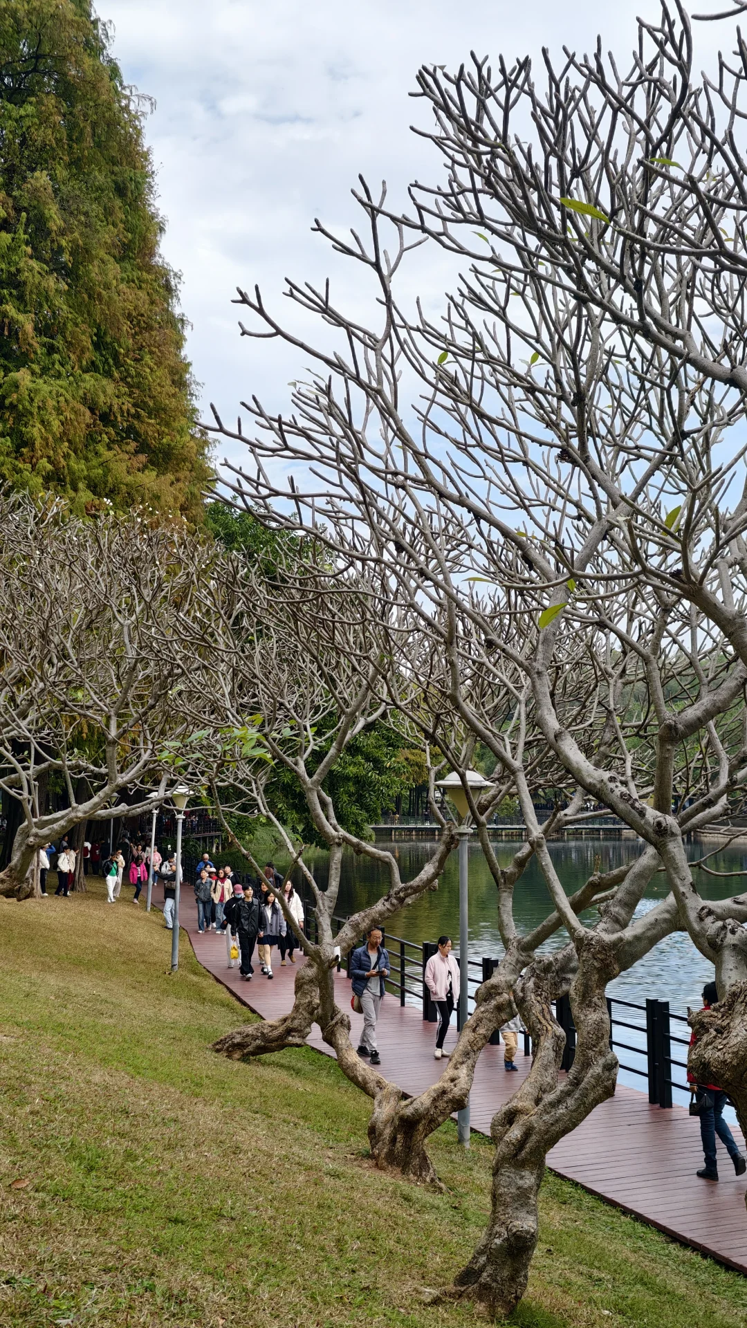 周末好去处‼️超酷云道穿越线8km连玩👏