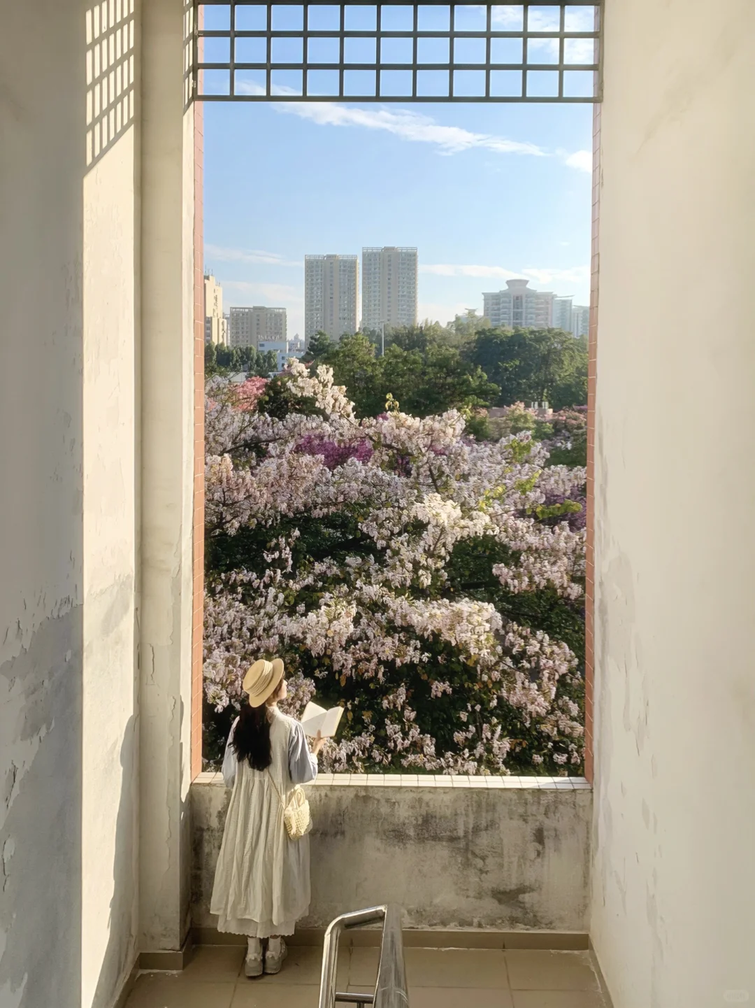 Live图❄️ 一棵树就是…广州一场盛大的冬天！！