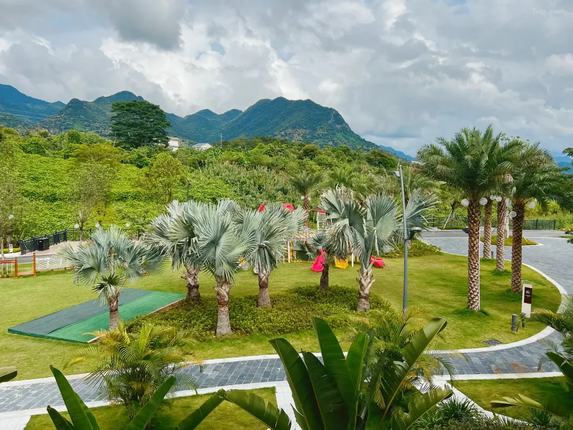 🌿广州温泉秘境｜1.5h逃离城市♨️