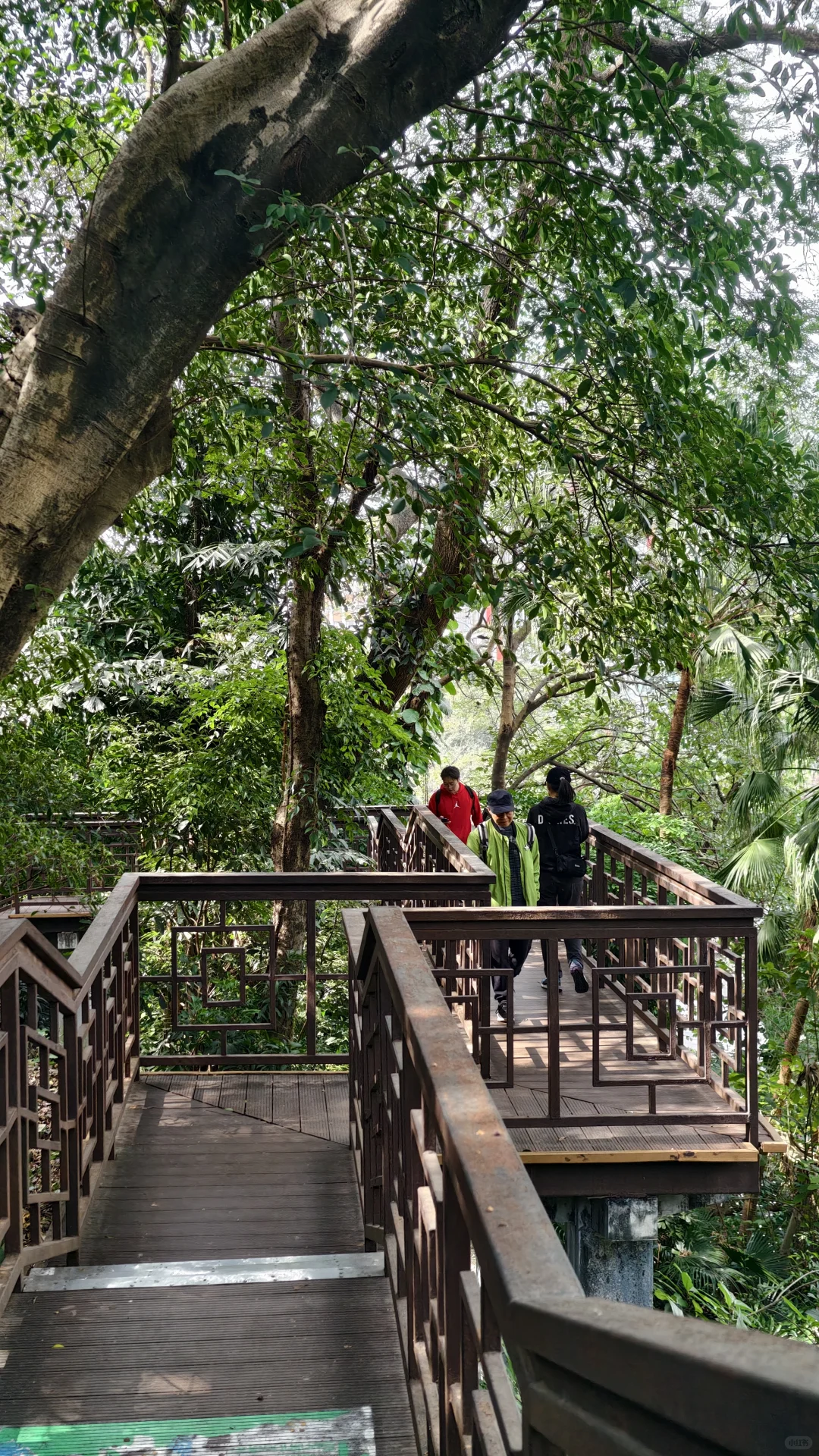 周末好去处‼️超酷云道穿越线8km连玩👏