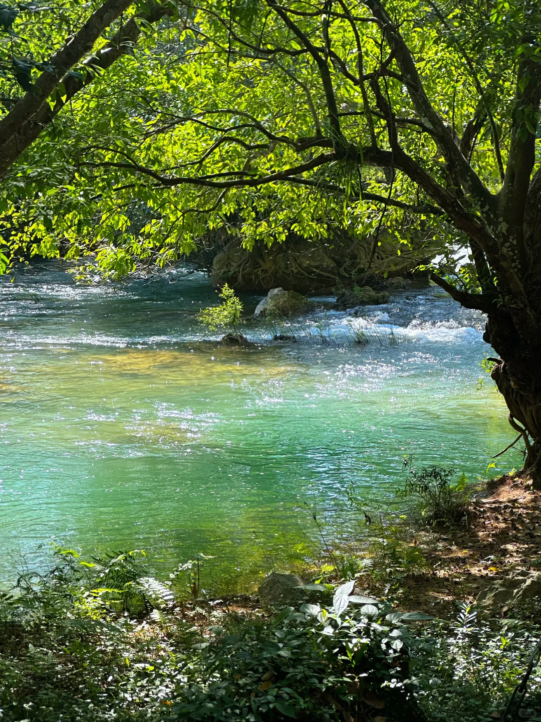 11/15 南宁 崇左 人间值得！（天气好版）