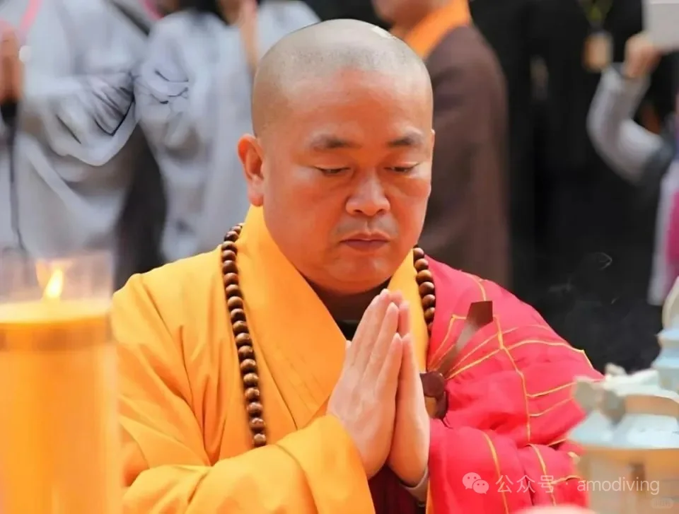 南宁明阳龙潭自由潜总监和他的小345们