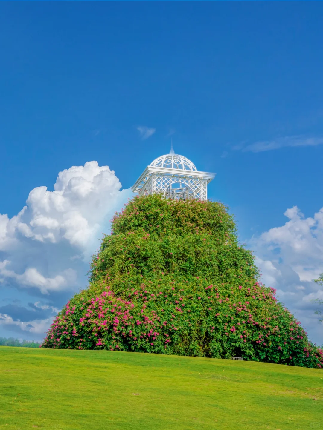 南宁青秀山最美季节！4小时不累腿路线来啦