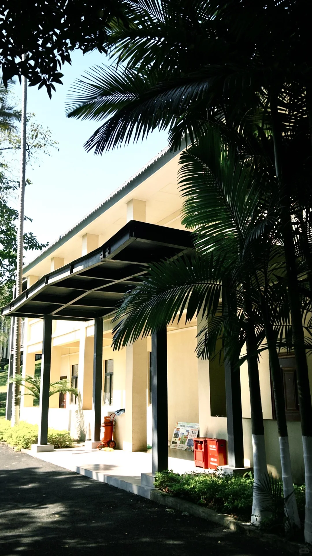 南宁这么好的天气该出去逛逛啦